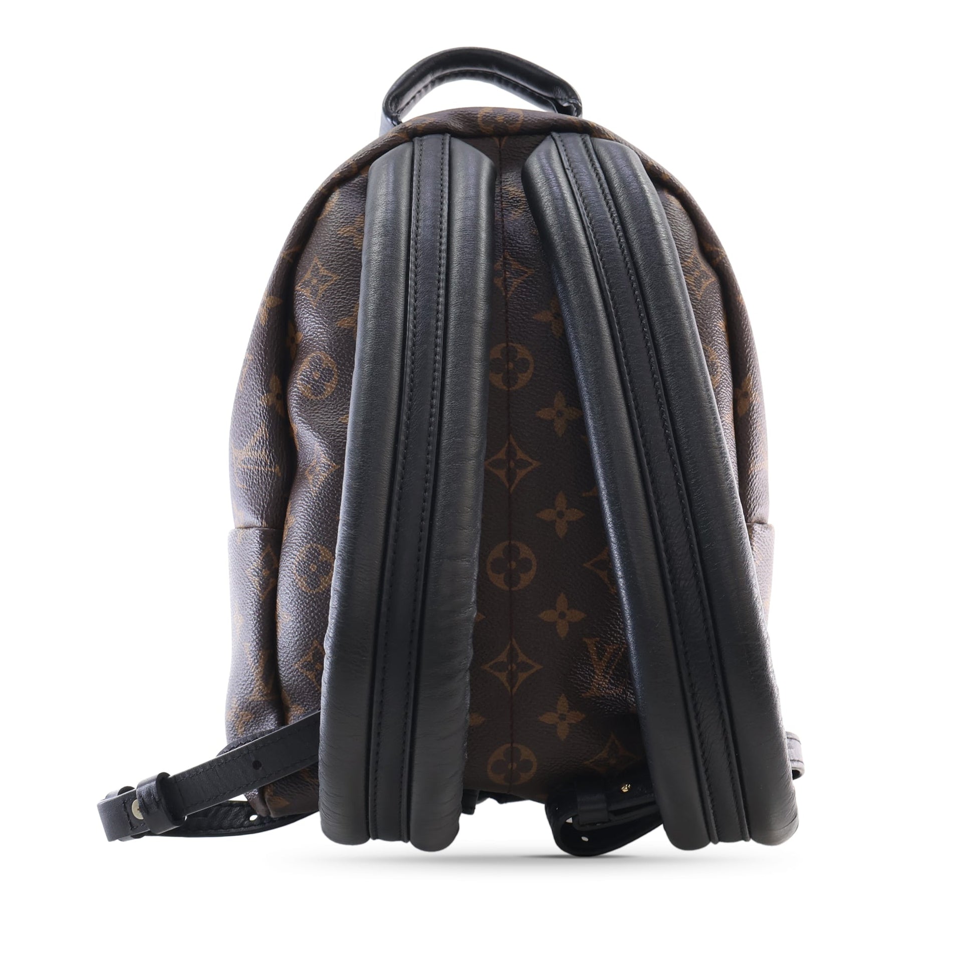 Louis Vuitton Monogram Palm Springs PM