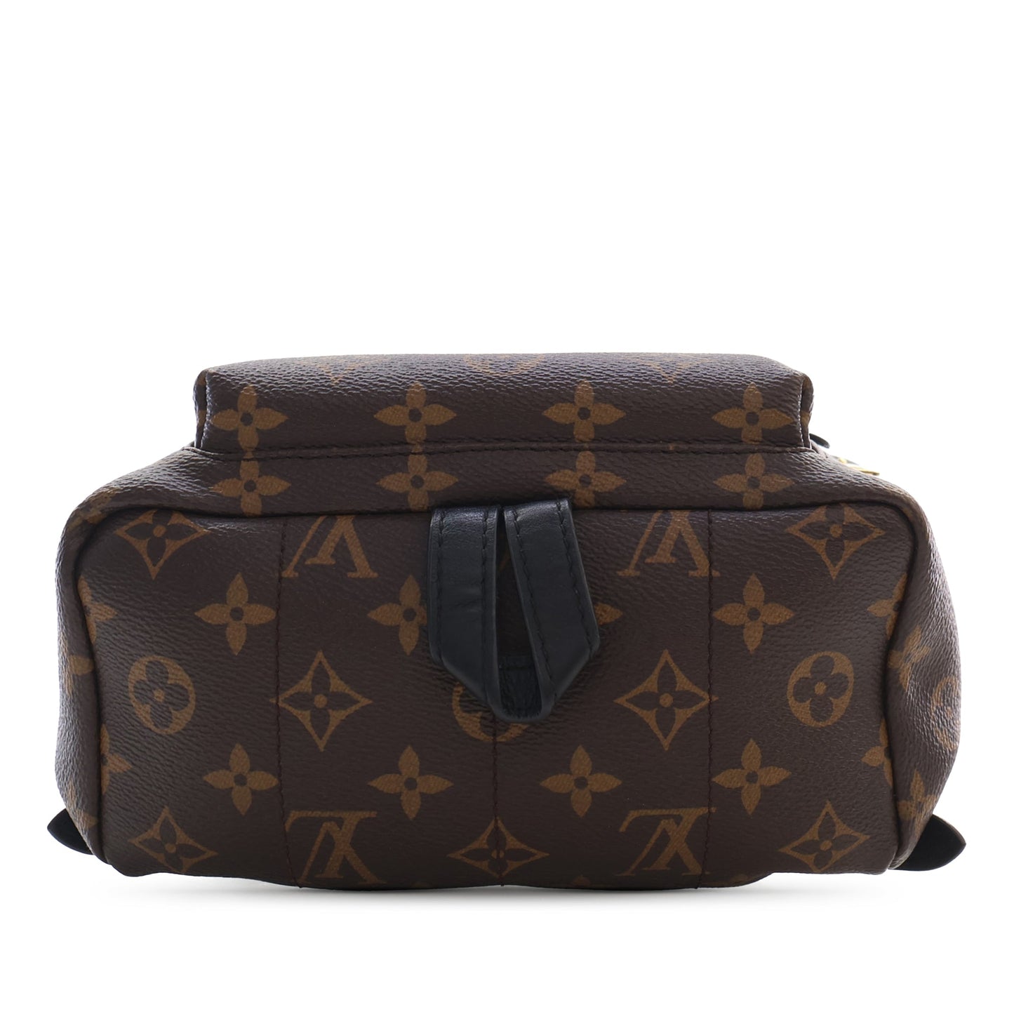 Louis Vuitton Monogram Palm Springs PM