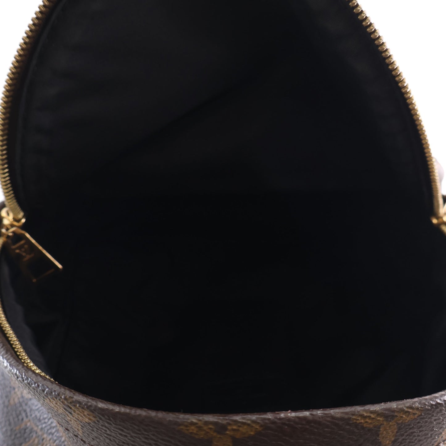 Louis Vuitton Monogram Palm Springs PM