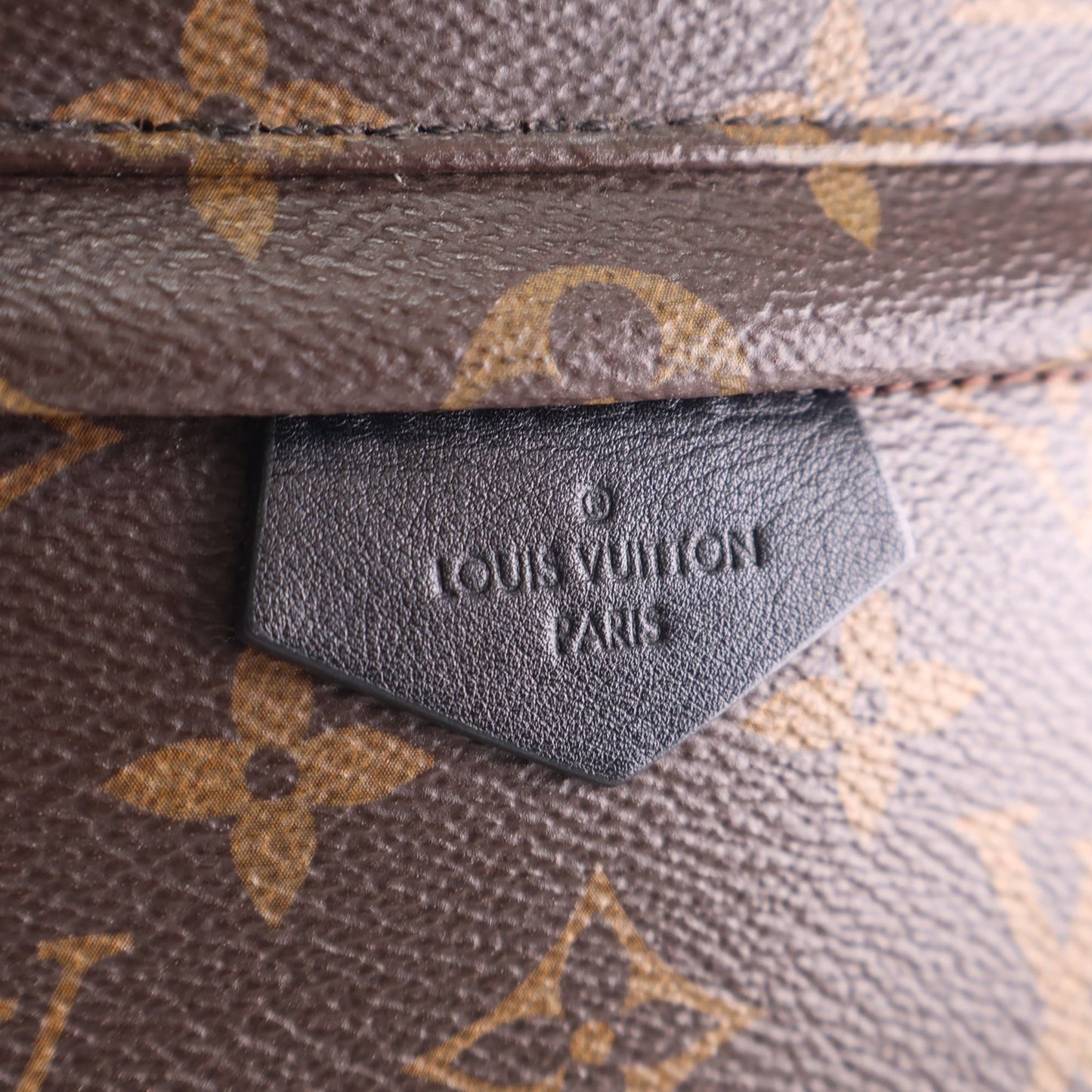 Louis Vuitton Monogram Palm Springs PM