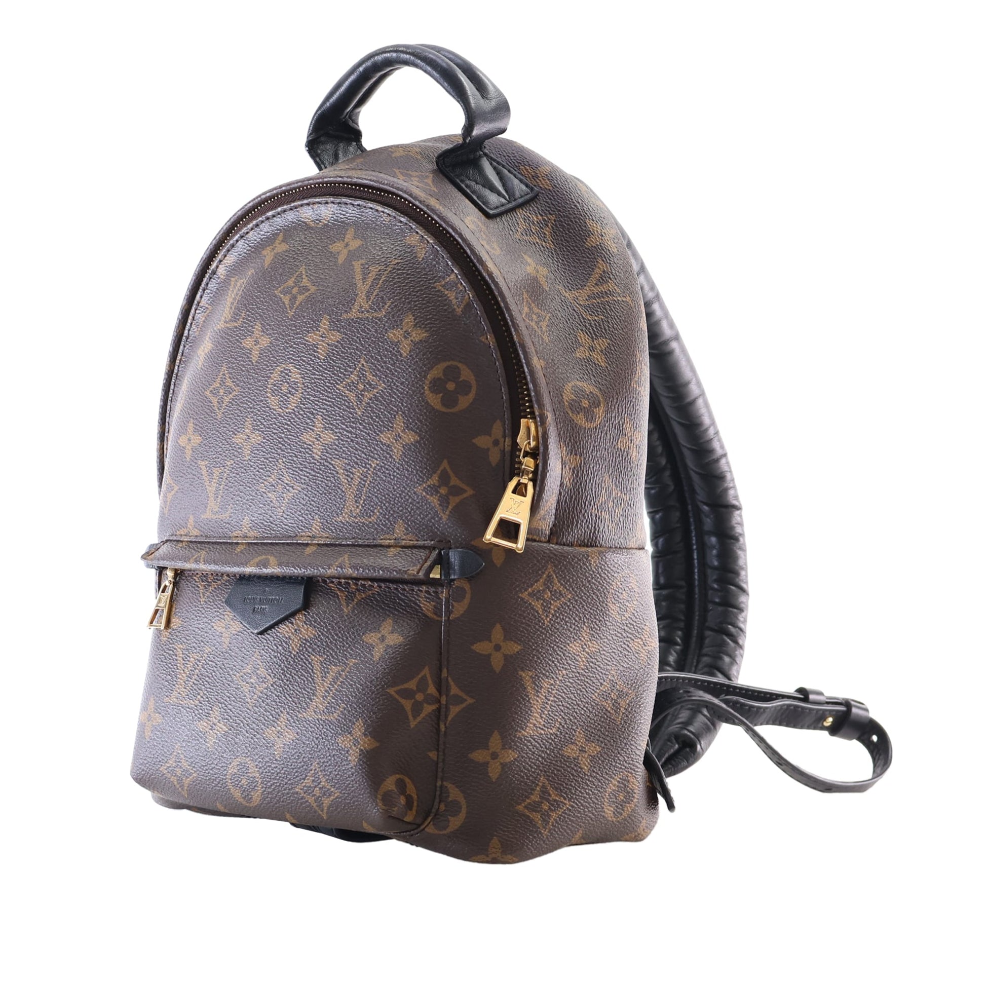 Louis Vuitton Monogram Palm Springs PM