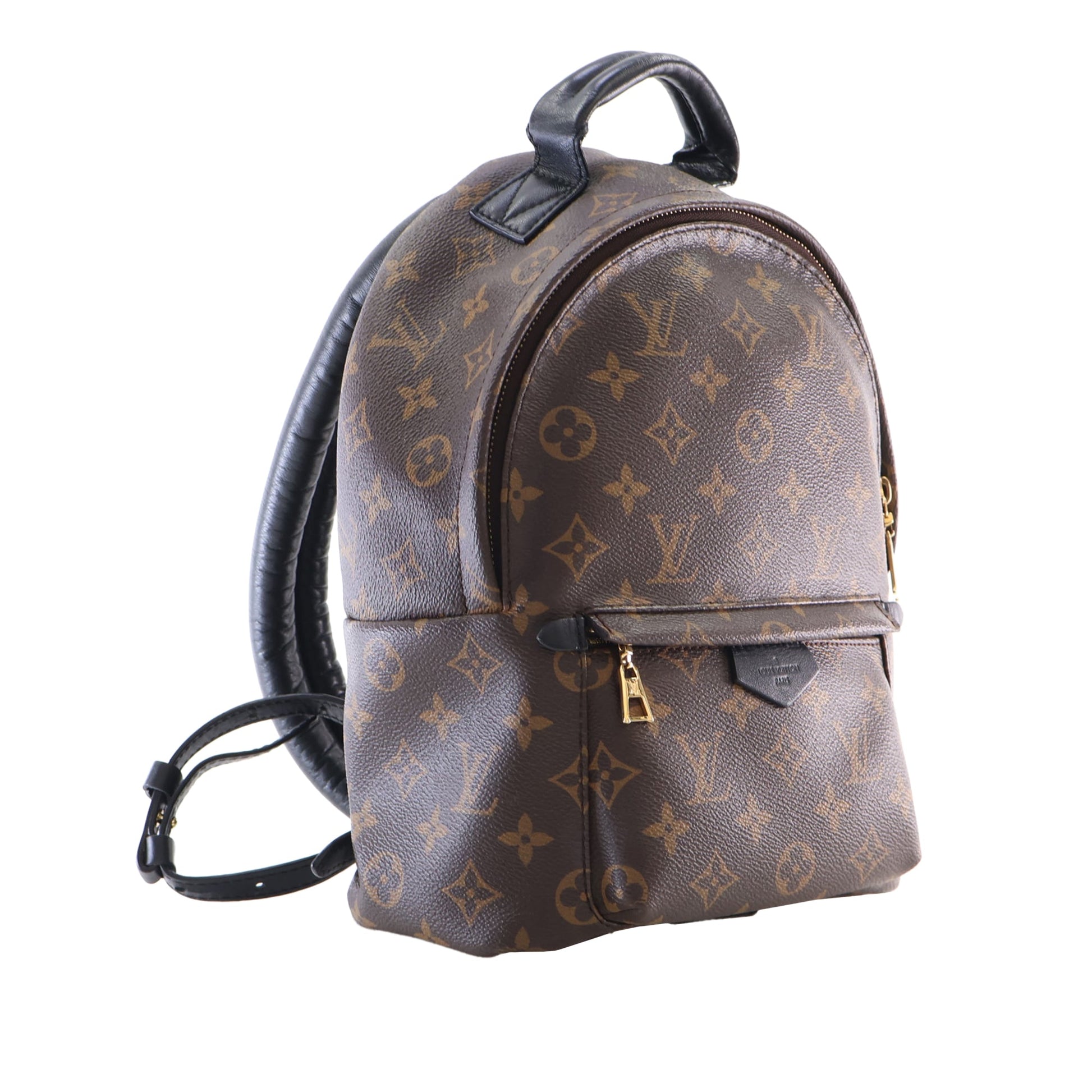 Louis Vuitton Monogram Palm Springs PM