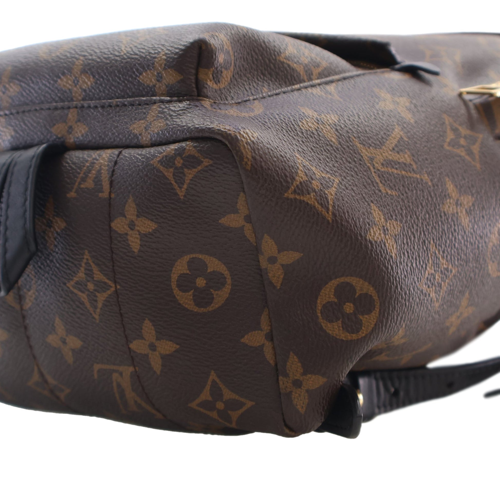 Louis Vuitton Monogram Palm Springs PM