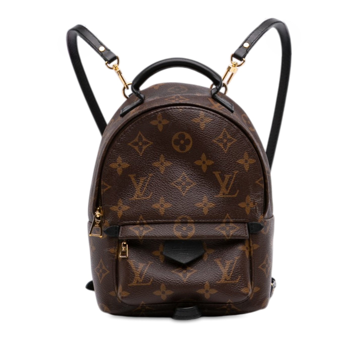 Louis Vuitton Monogram Mini Palm Springs