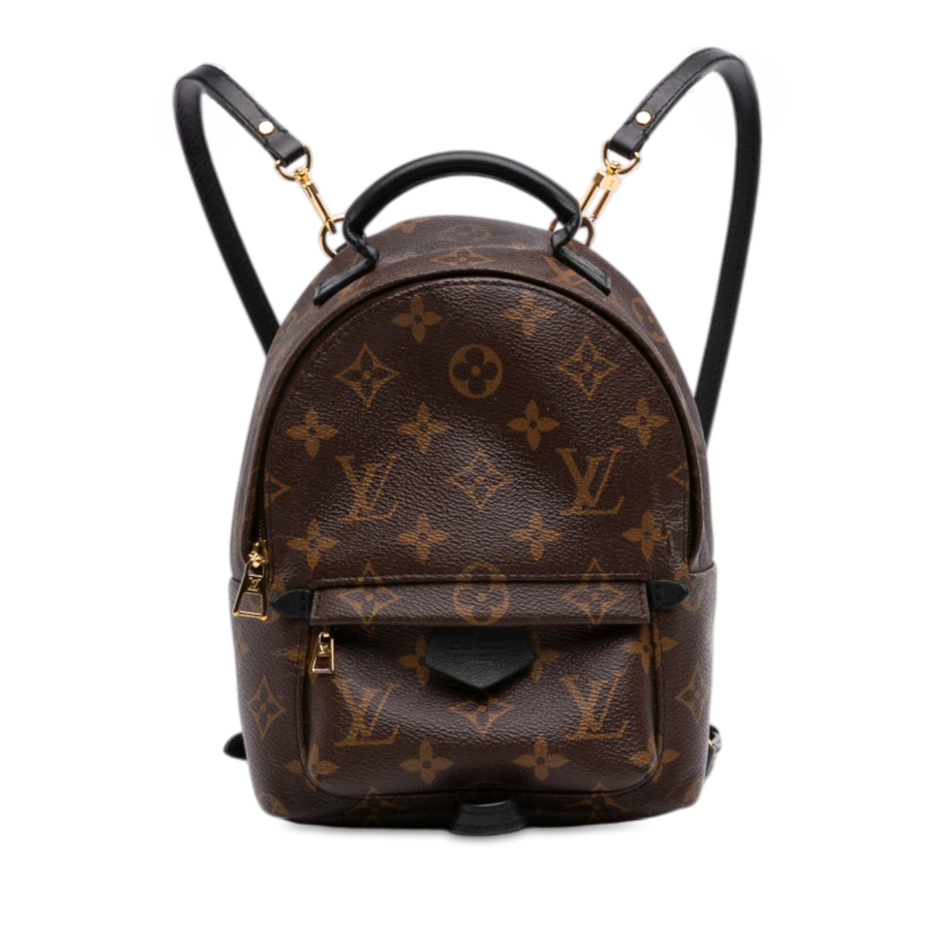 Louis Vuitton Monogram Mini Palm Springs