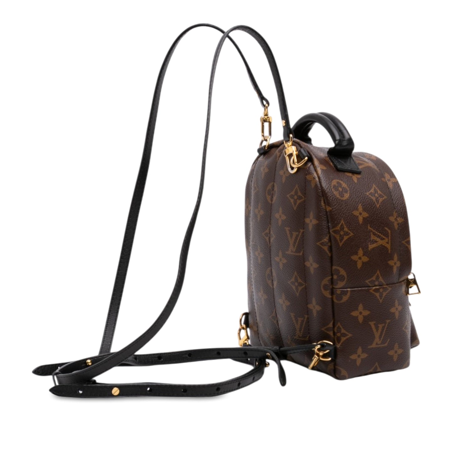 Louis Vuitton Monogram Mini Palm Springs