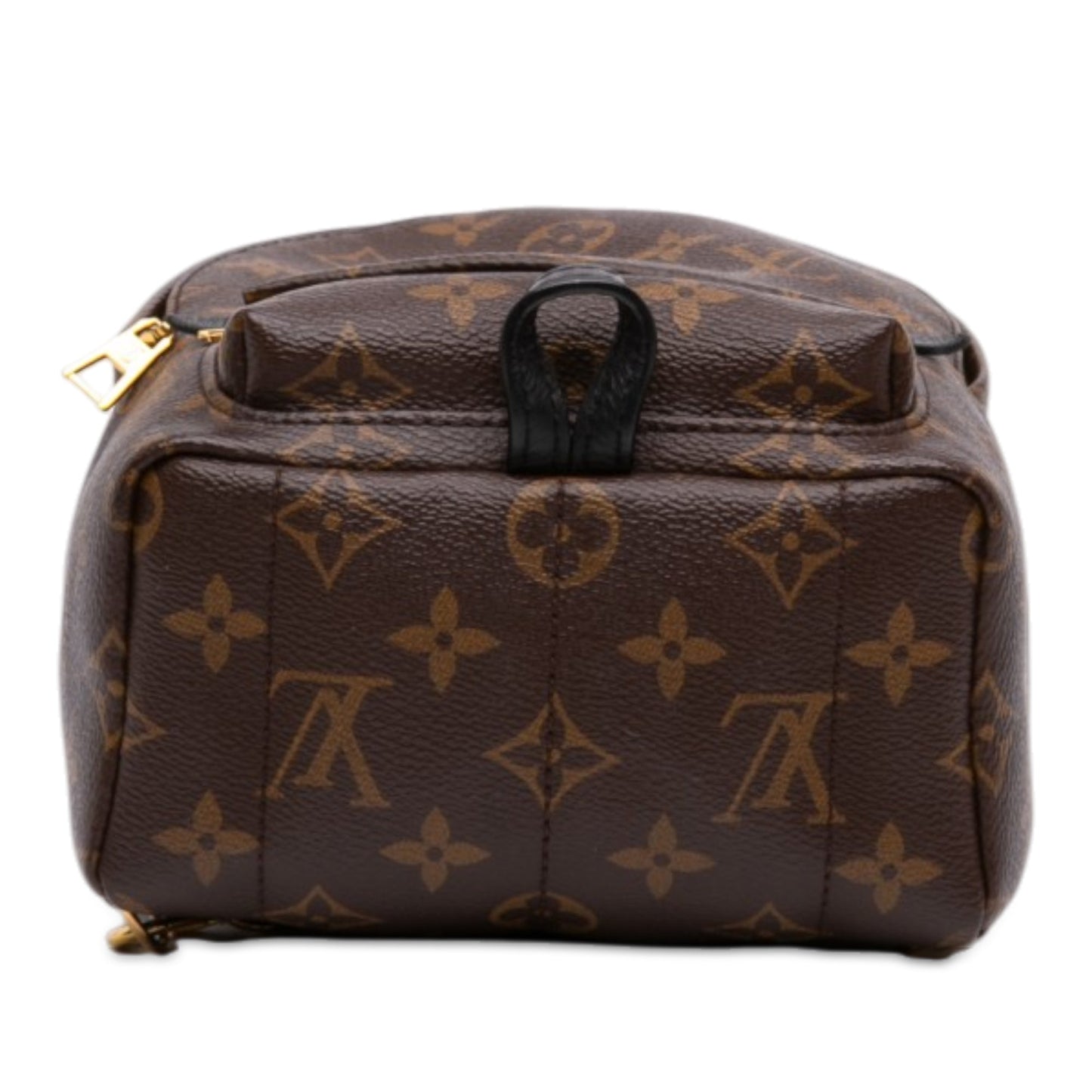 Louis Vuitton Monogram Mini Palm Springs