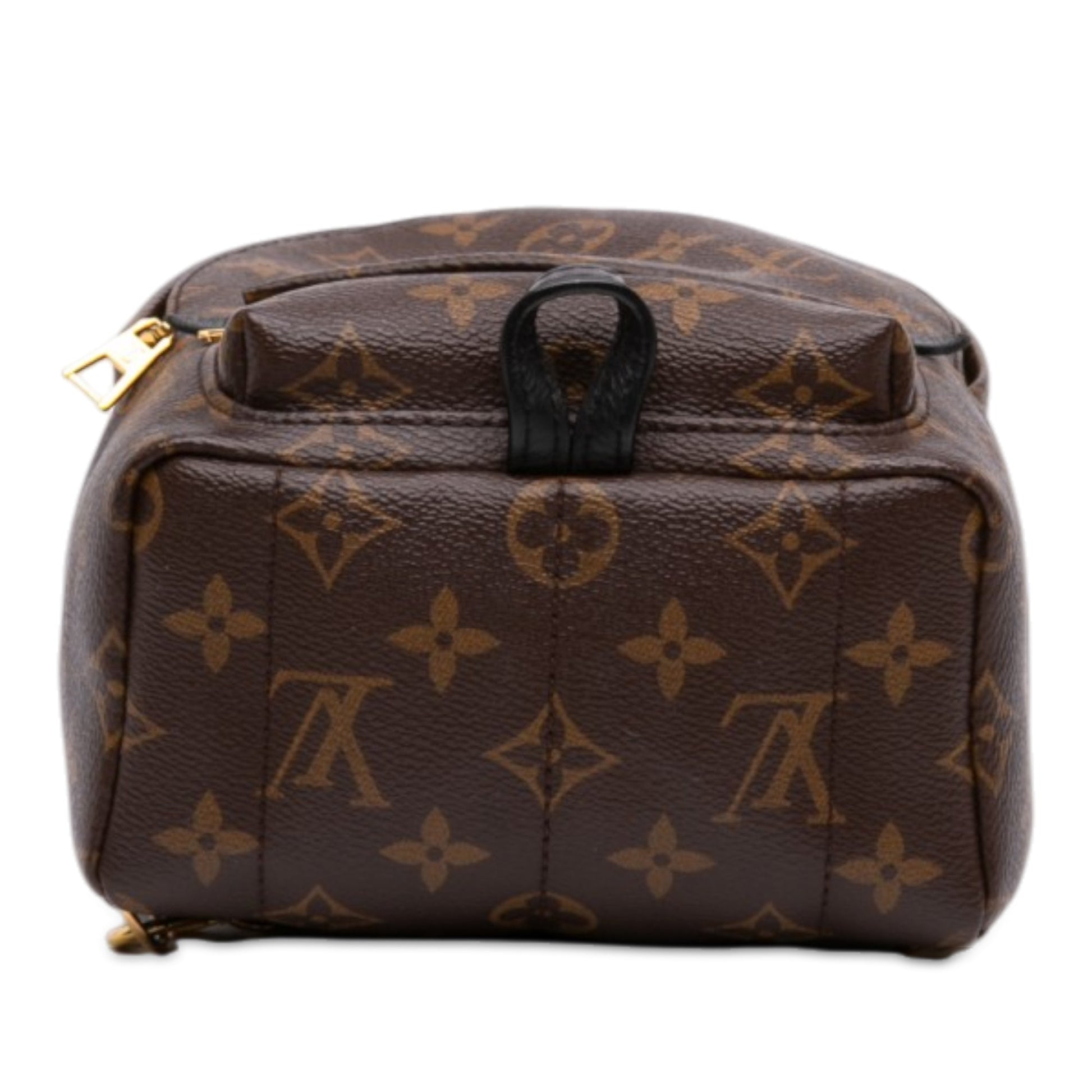 Louis Vuitton Monogram Mini Palm Springs