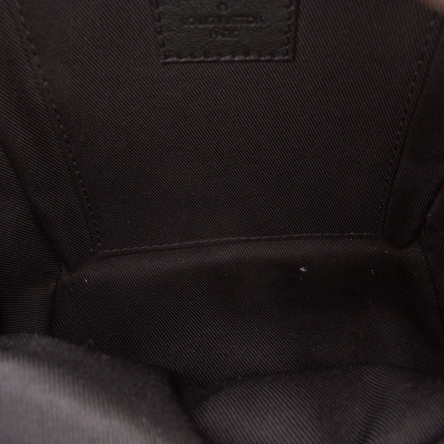 Louis Vuitton Monogram Mini Palm Springs
