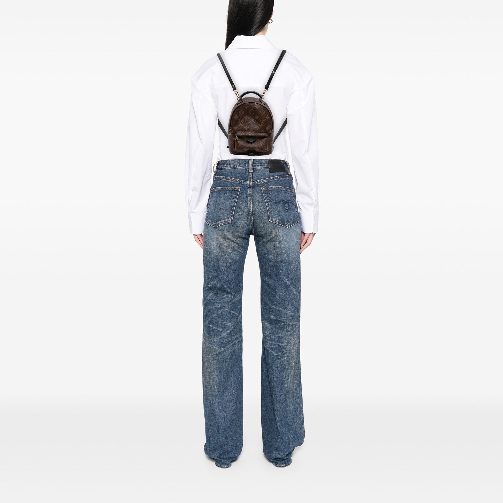 Louis Vuitton Monogram Mini Palm Springs