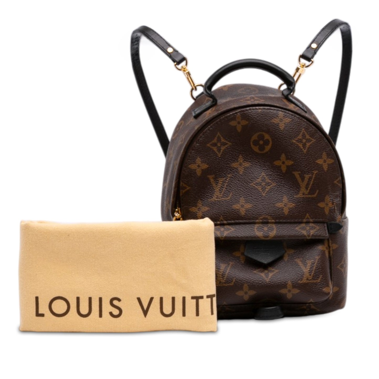 Louis Vuitton Monogram Mini Palm Springs