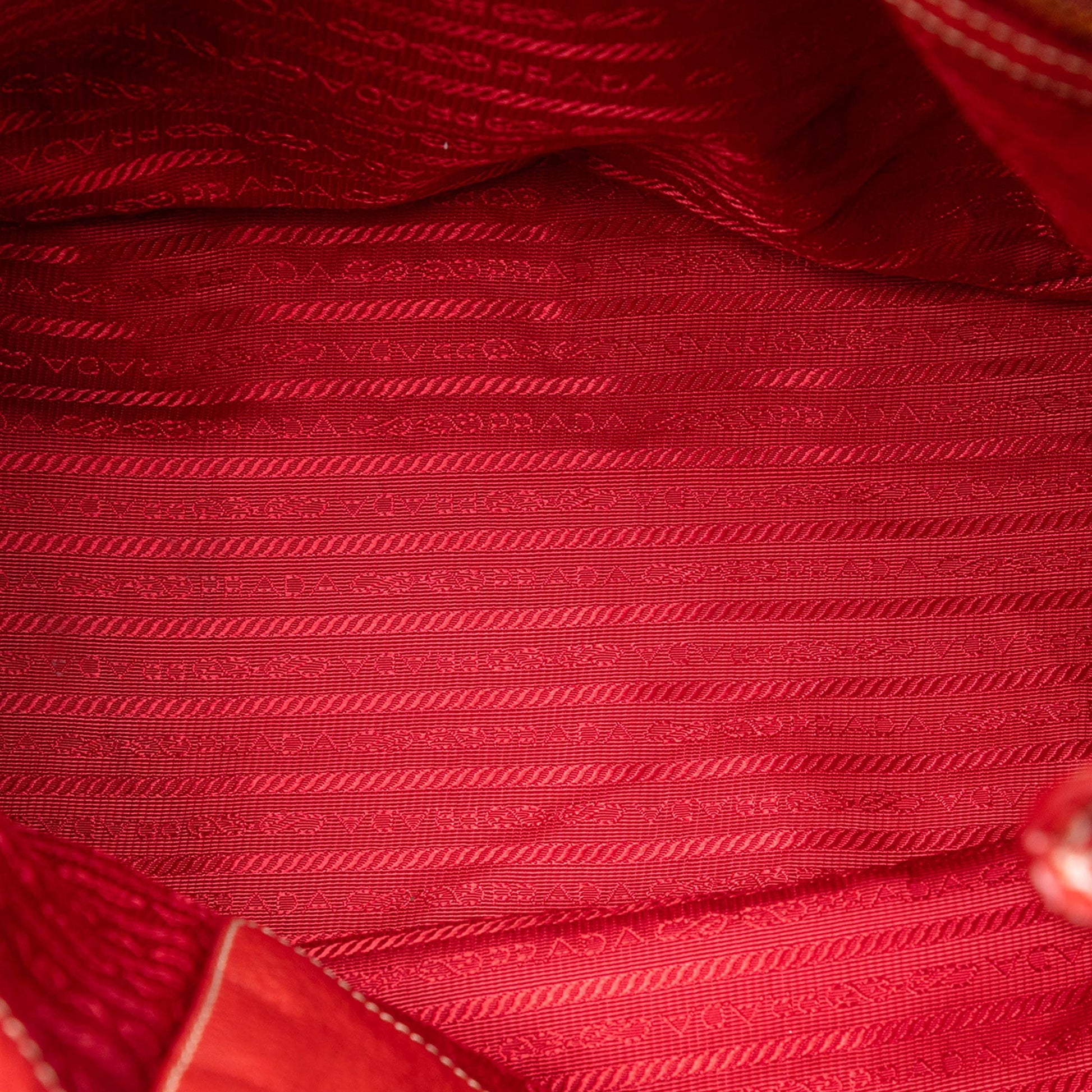 Prada Vitello Daino Hobo Bag