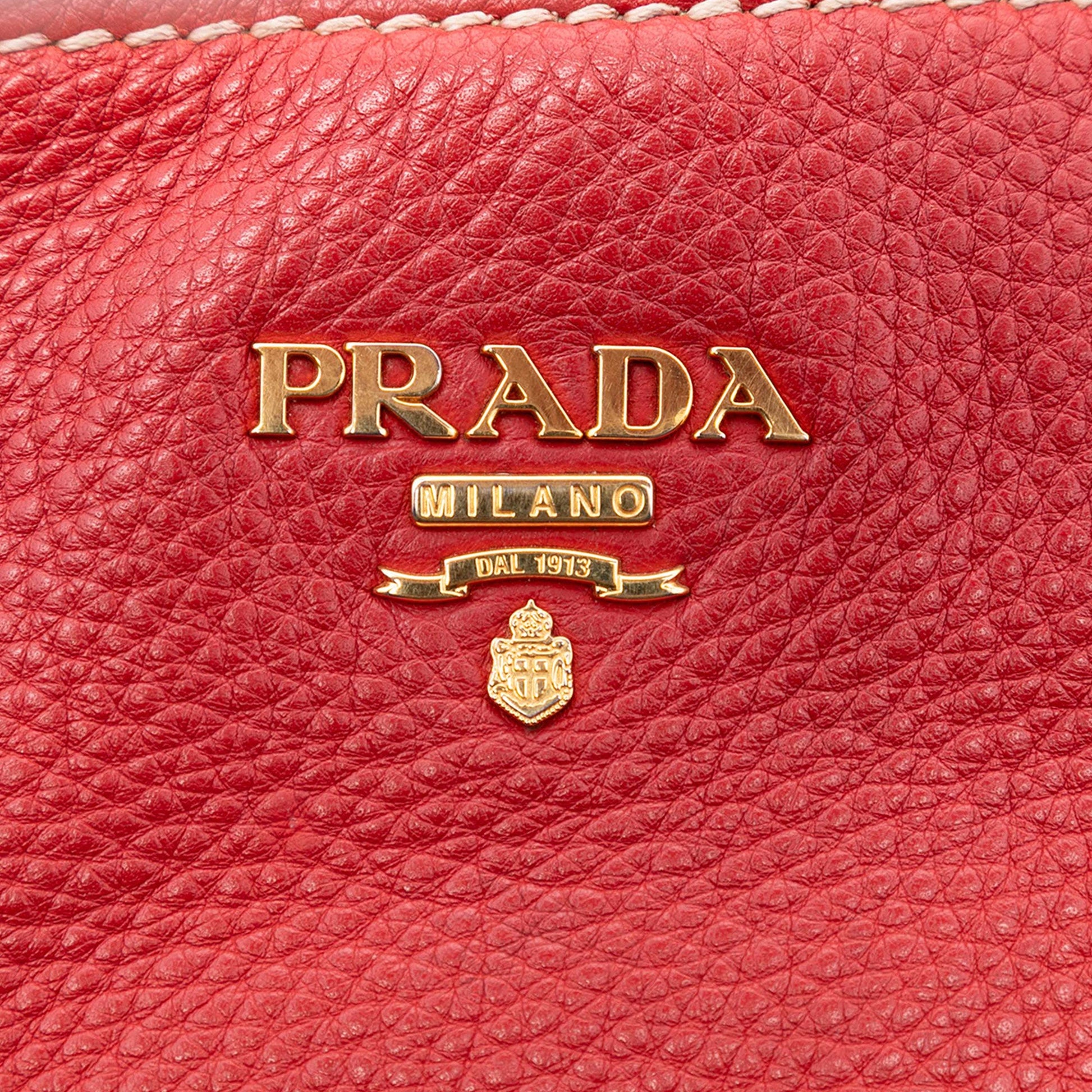 Prada Vitello Daino Hobo Bag