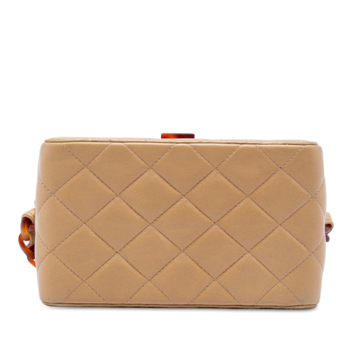 Chanel CC Quilted Lambskin Tortoiseshell Box Bag
