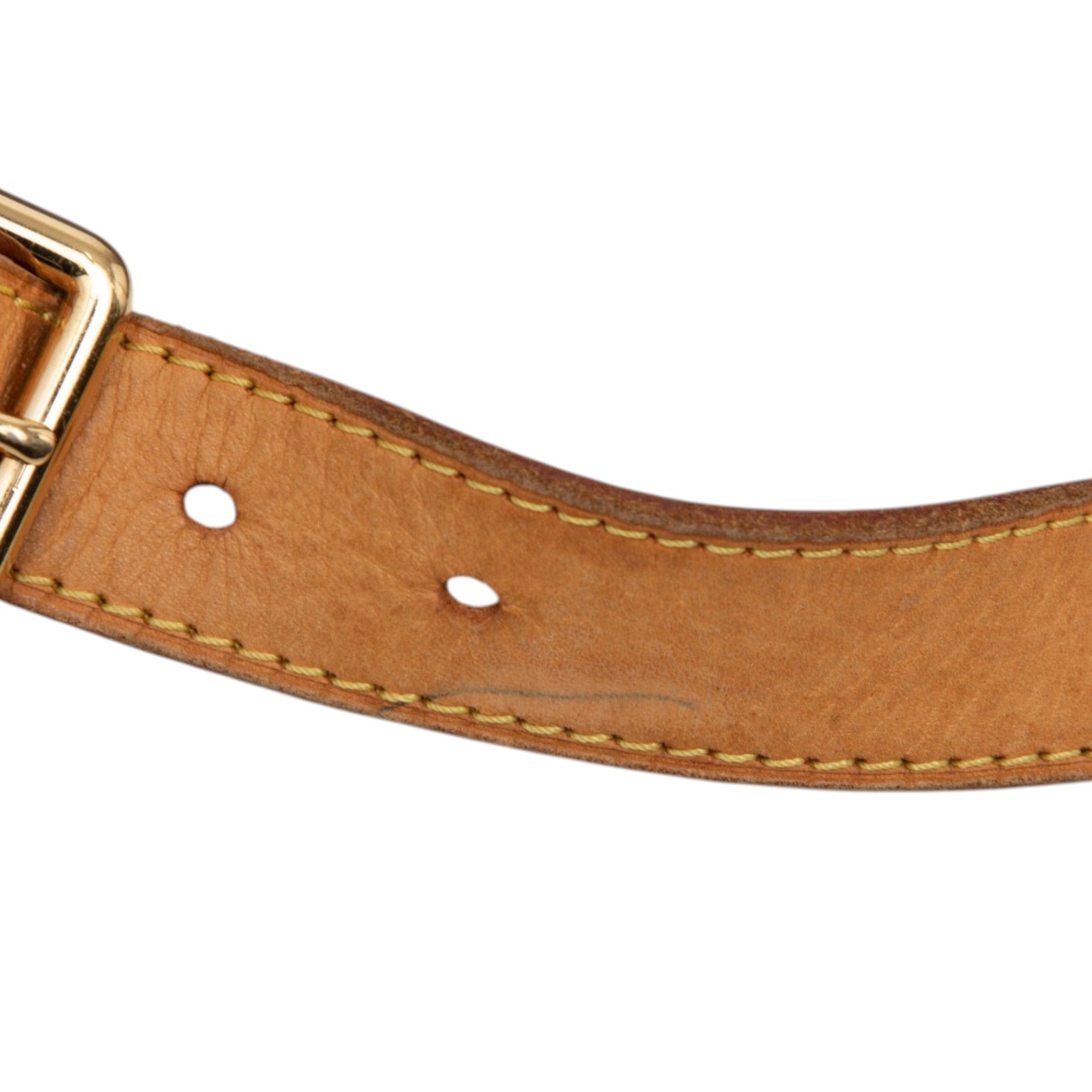 Louis Vuitton Monogram Galliera PM