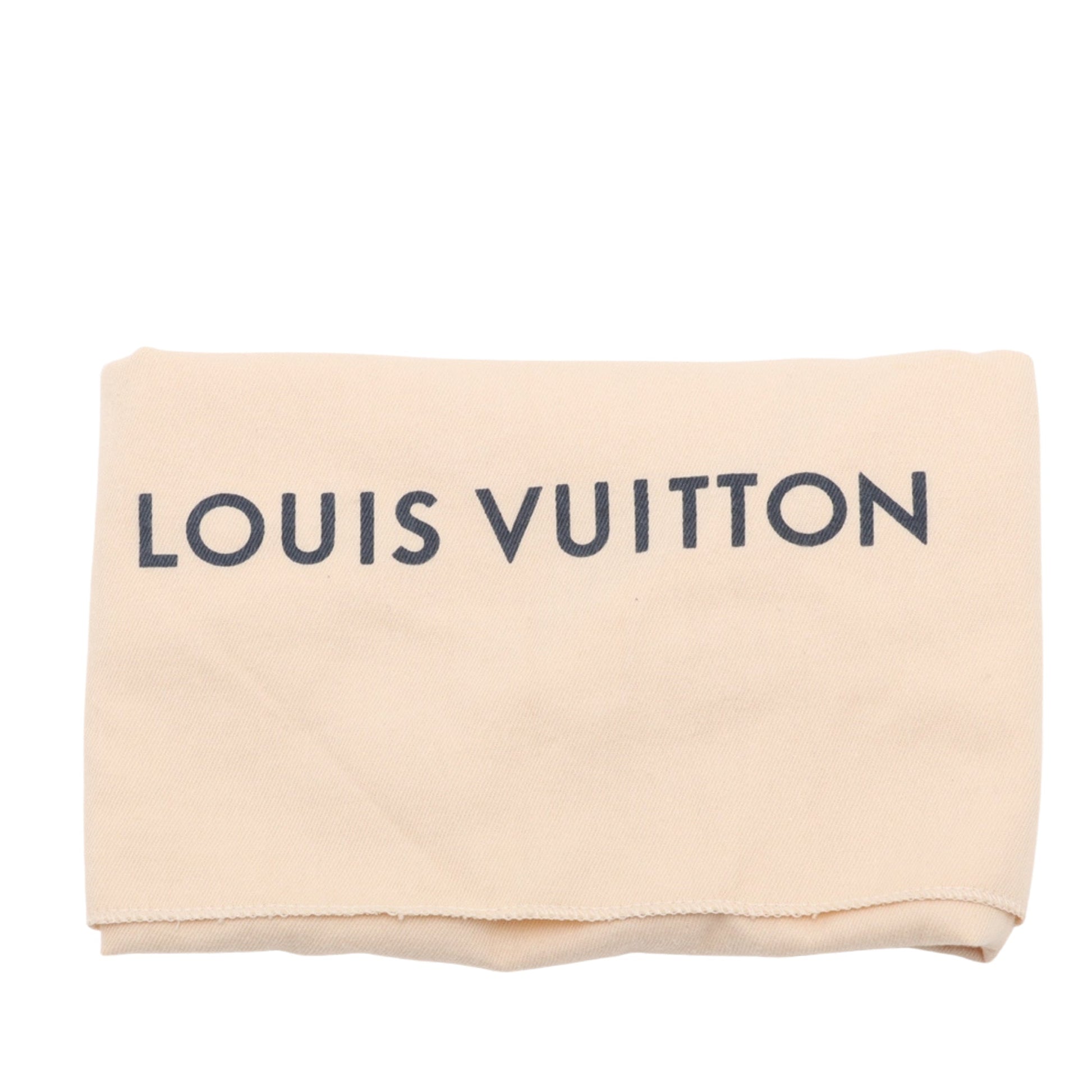 Louis Vuitton Monogram Embossed Puffy Lambskin Coussin PM
