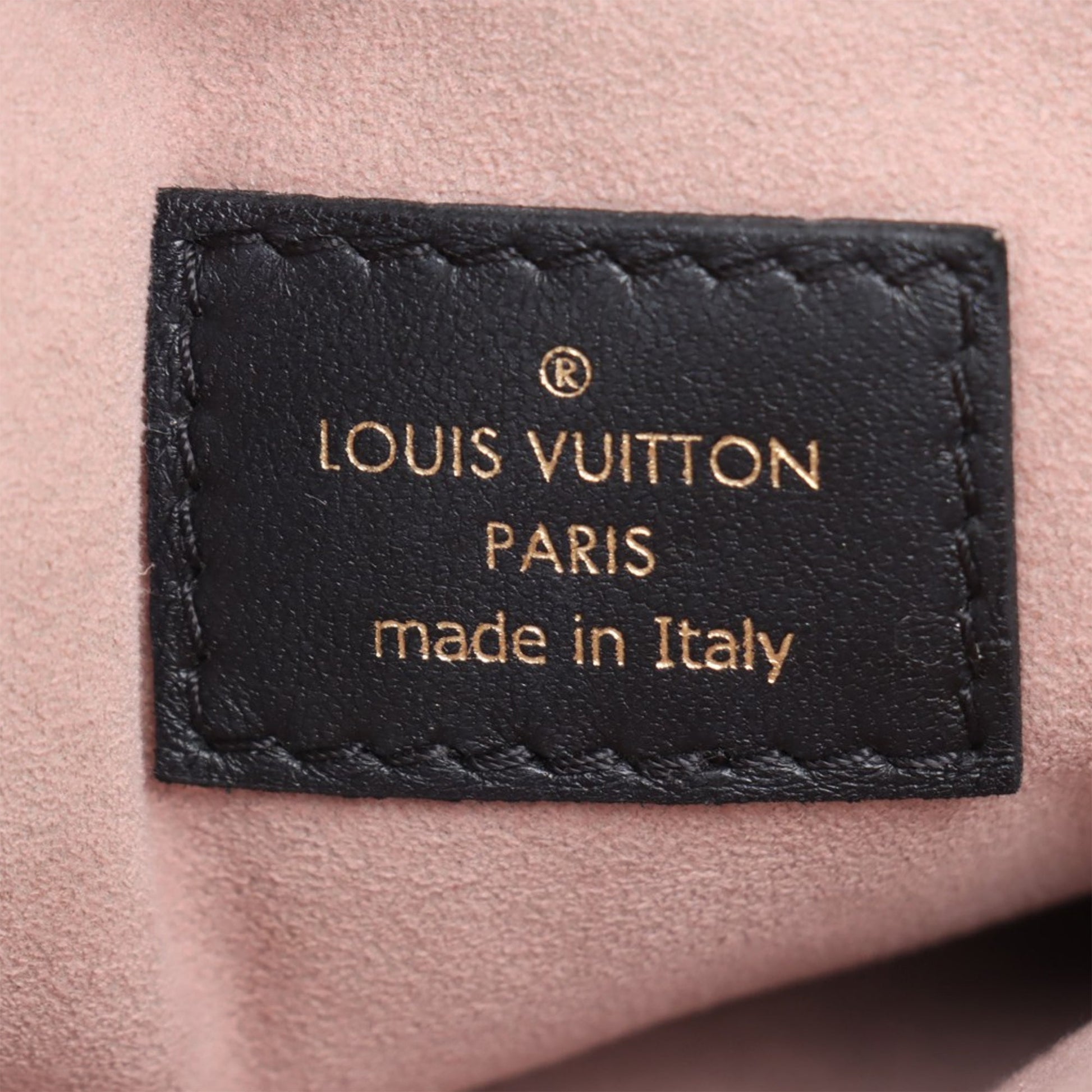 Louis Vuitton Monogram Embossed Puffy Lambskin Coussin PM