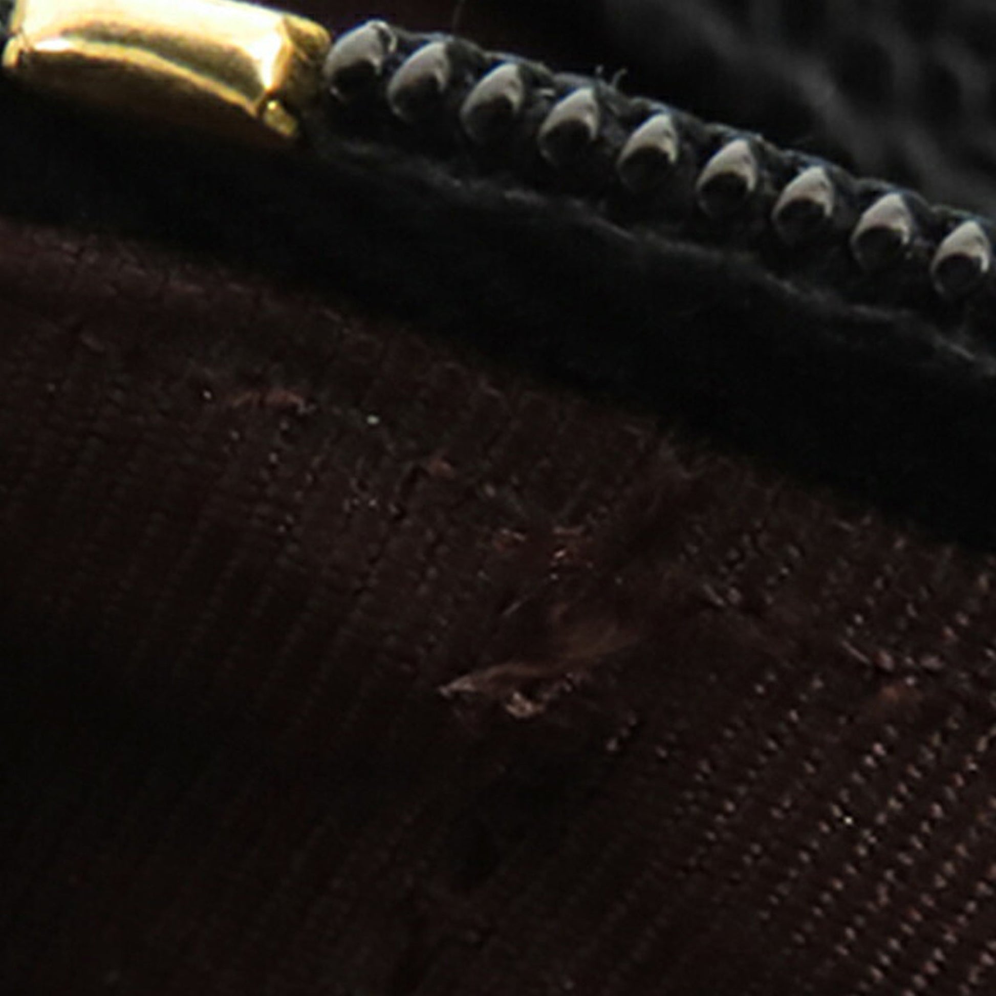 Chanel CC Quilted Caviar Wallet on Chain