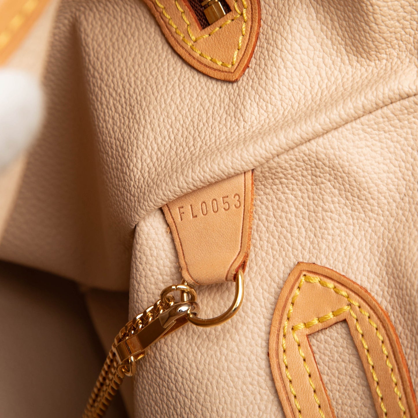 Louis Vuitton Monogram Petit Bucket