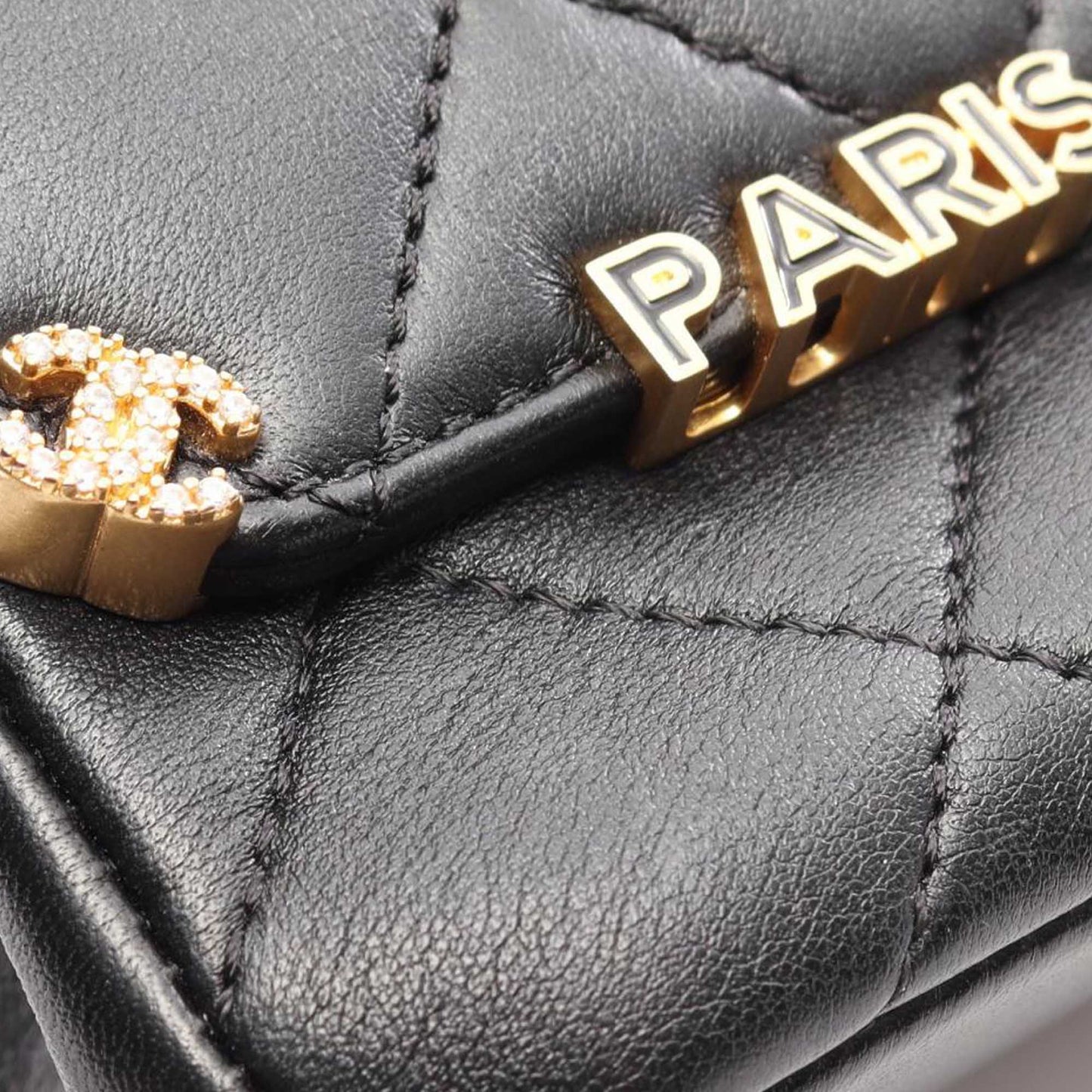 Chanel Quilted Lambskin Paris Monaco Flap