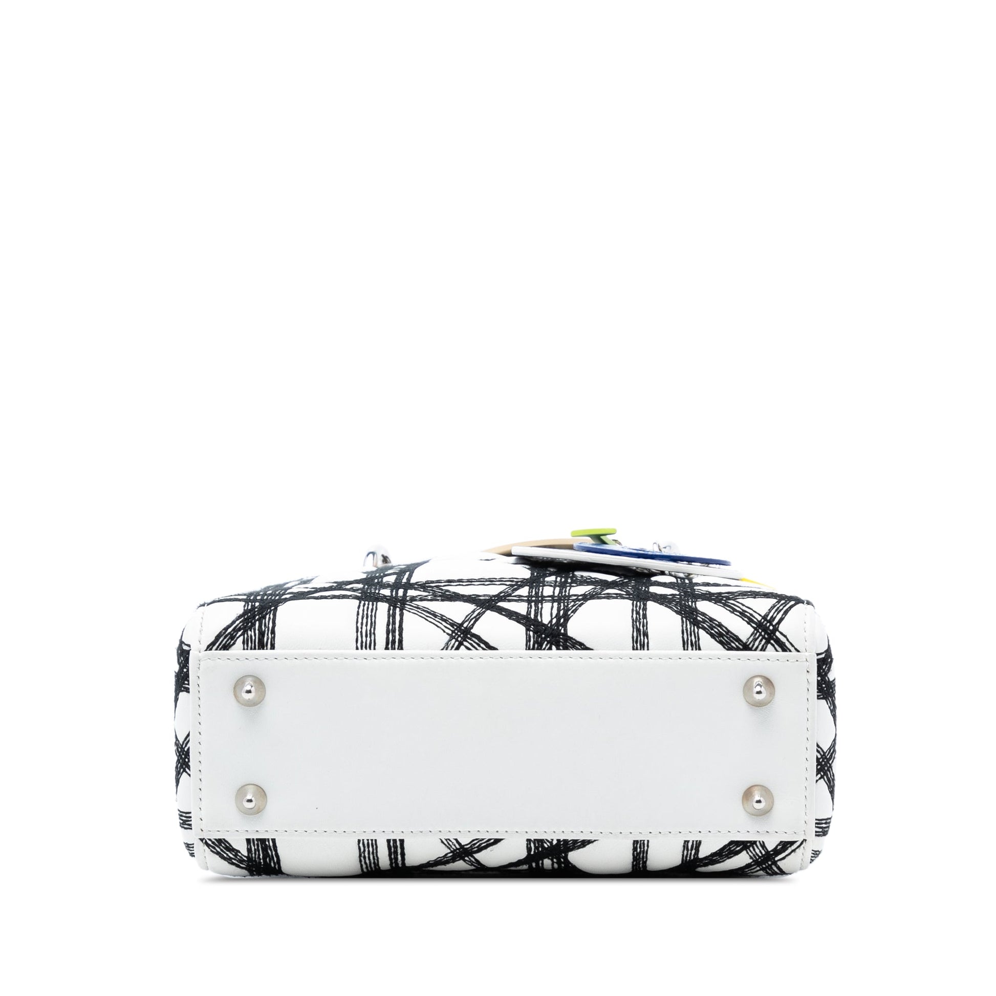 Dior Limited Edition Daniel Gordon Art Small Lambskin Cannage Lady Dior