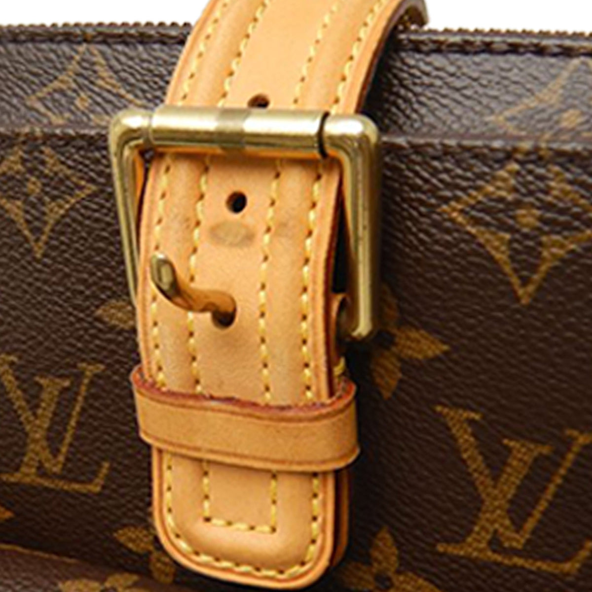 Louis Vuitton Monogram Multipli Cite — Brown