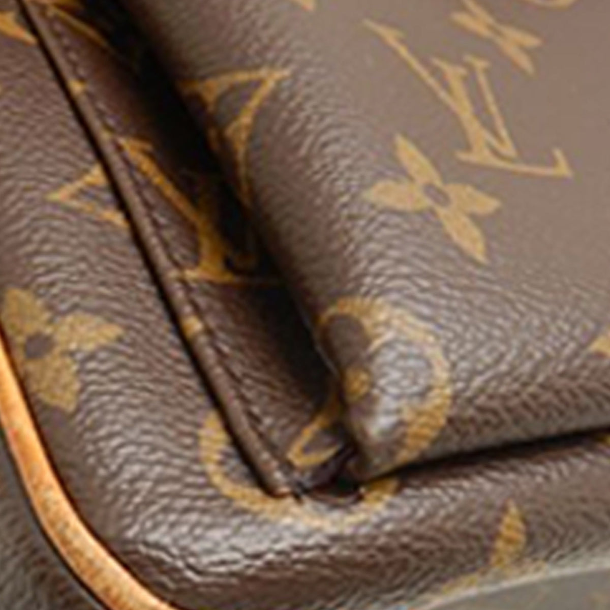 Louis Vuitton Monogram Multipli Cite — Brown