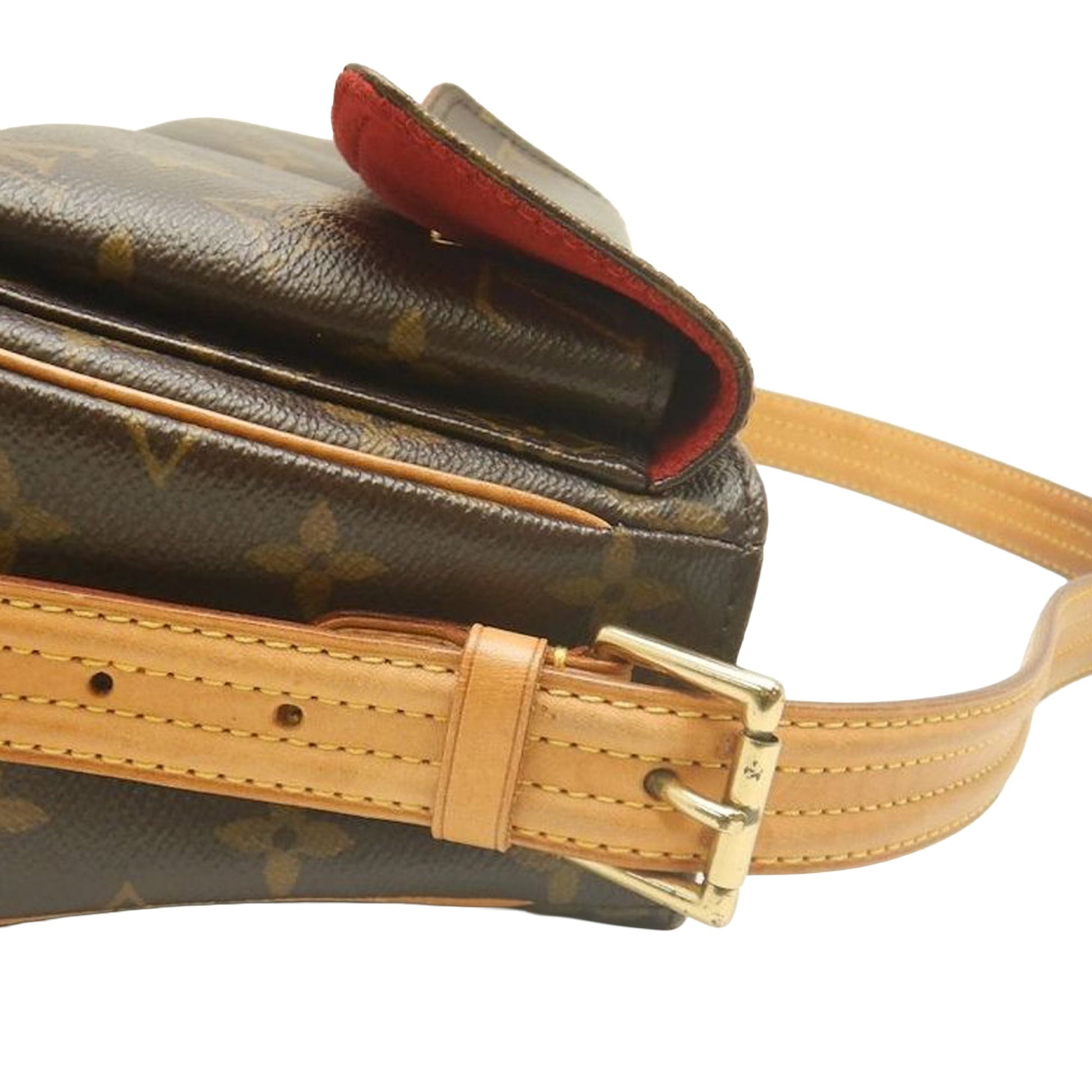 Louis Vuitton Monogram Viva Cite MM