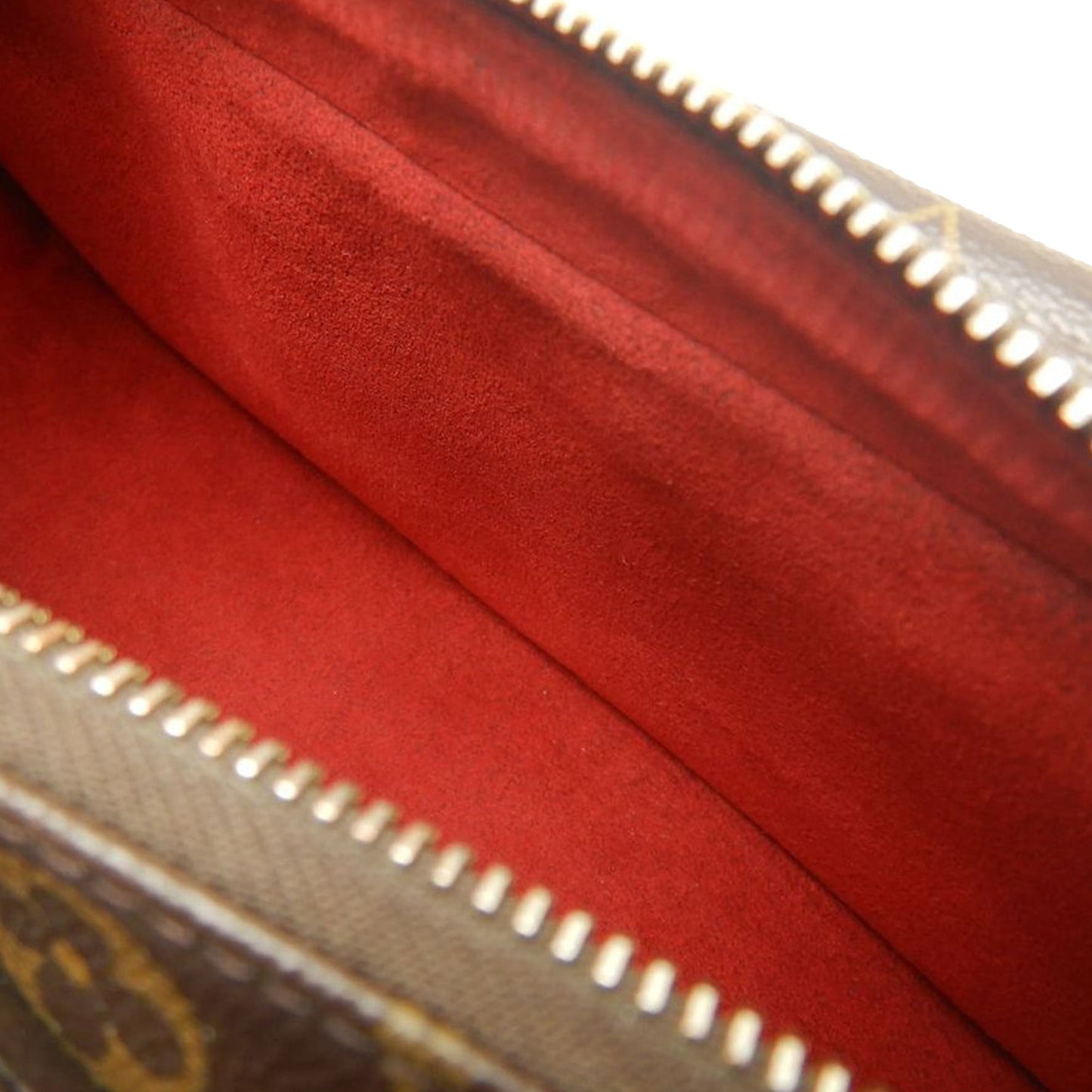 Louis Vuitton Monogram Viva Cite MM
