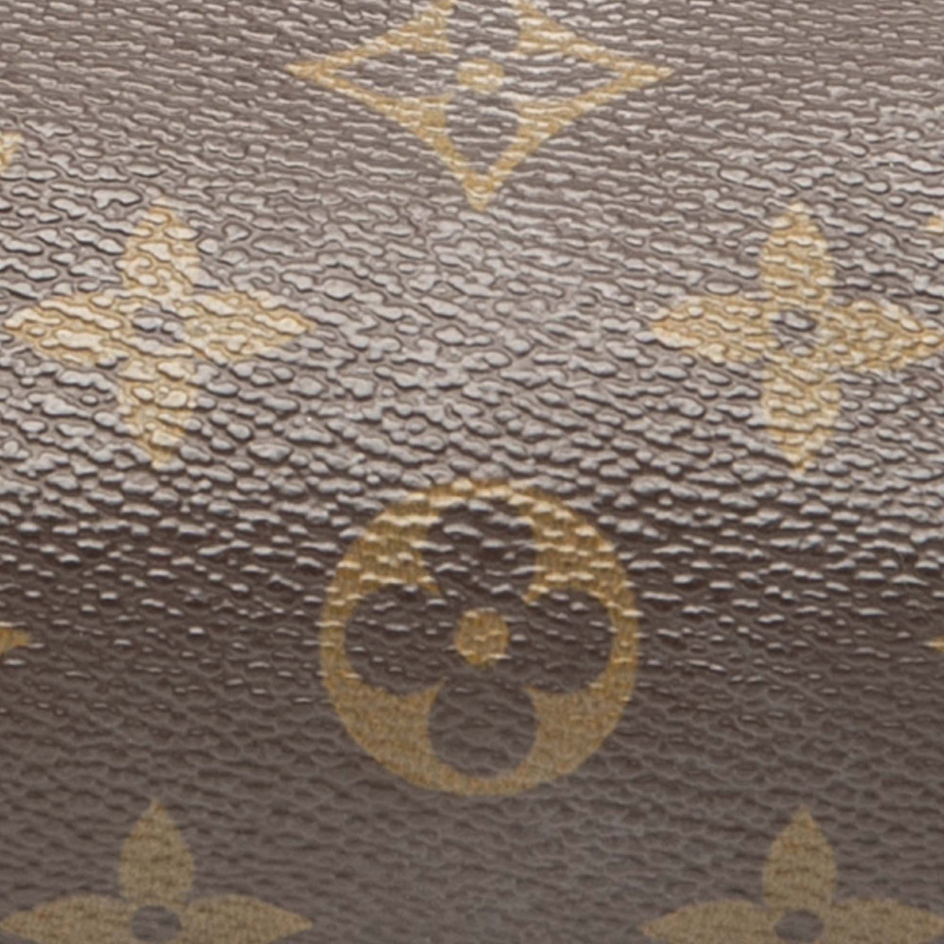 Louis Vuitton Monogram Papillon Pochette