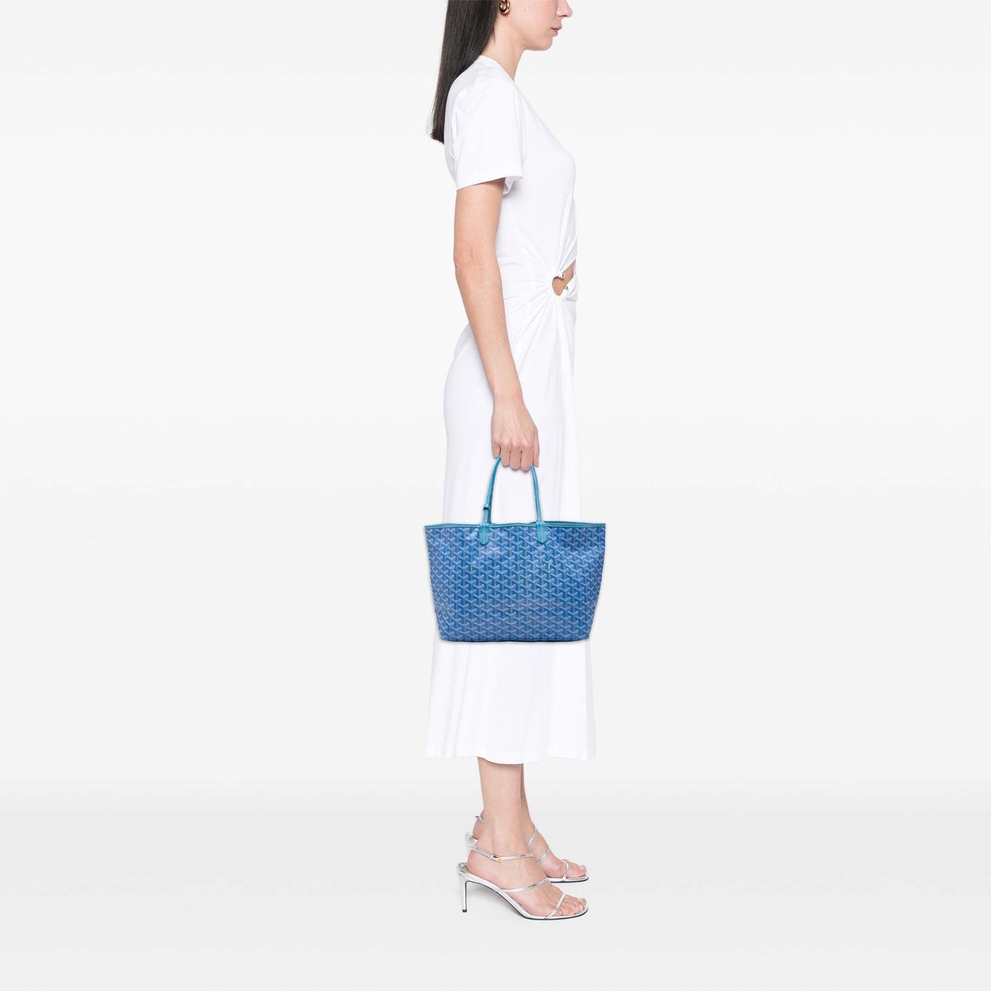 Goyard Goyardine Saint Louis PM