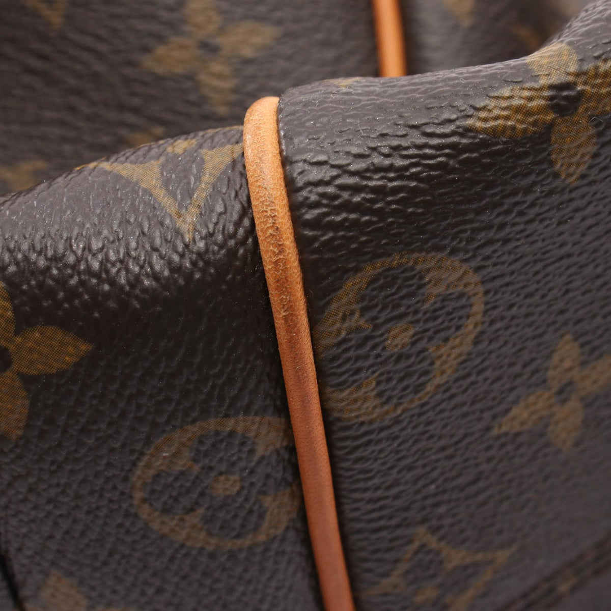 Louis Vuitton Monogram Totally MM