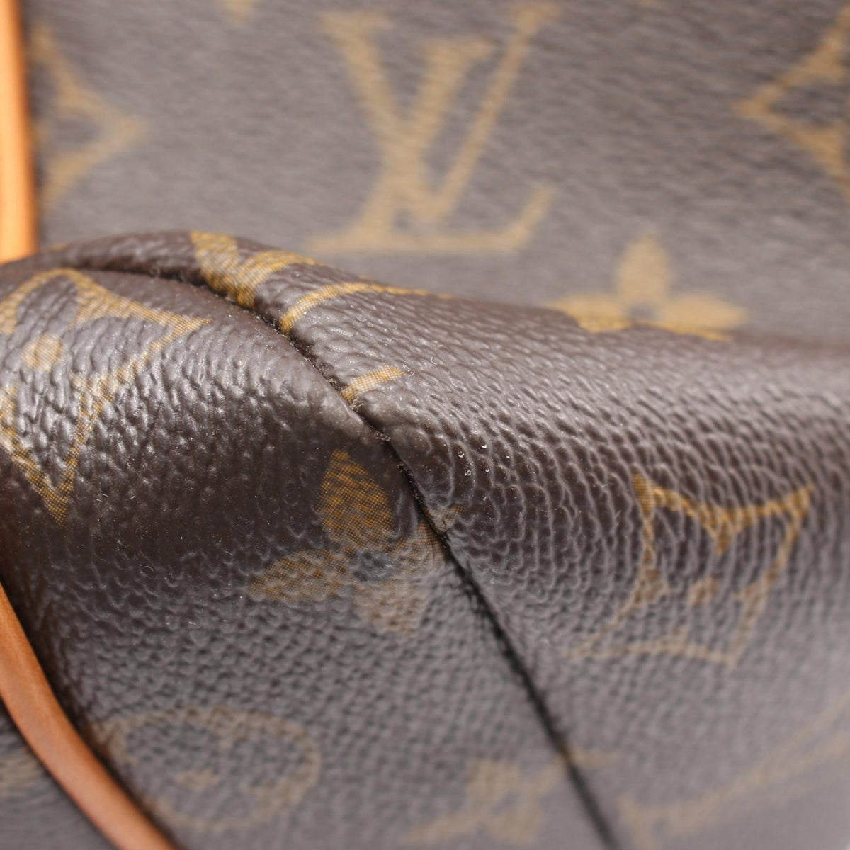 Louis Vuitton Monogram Totally MM