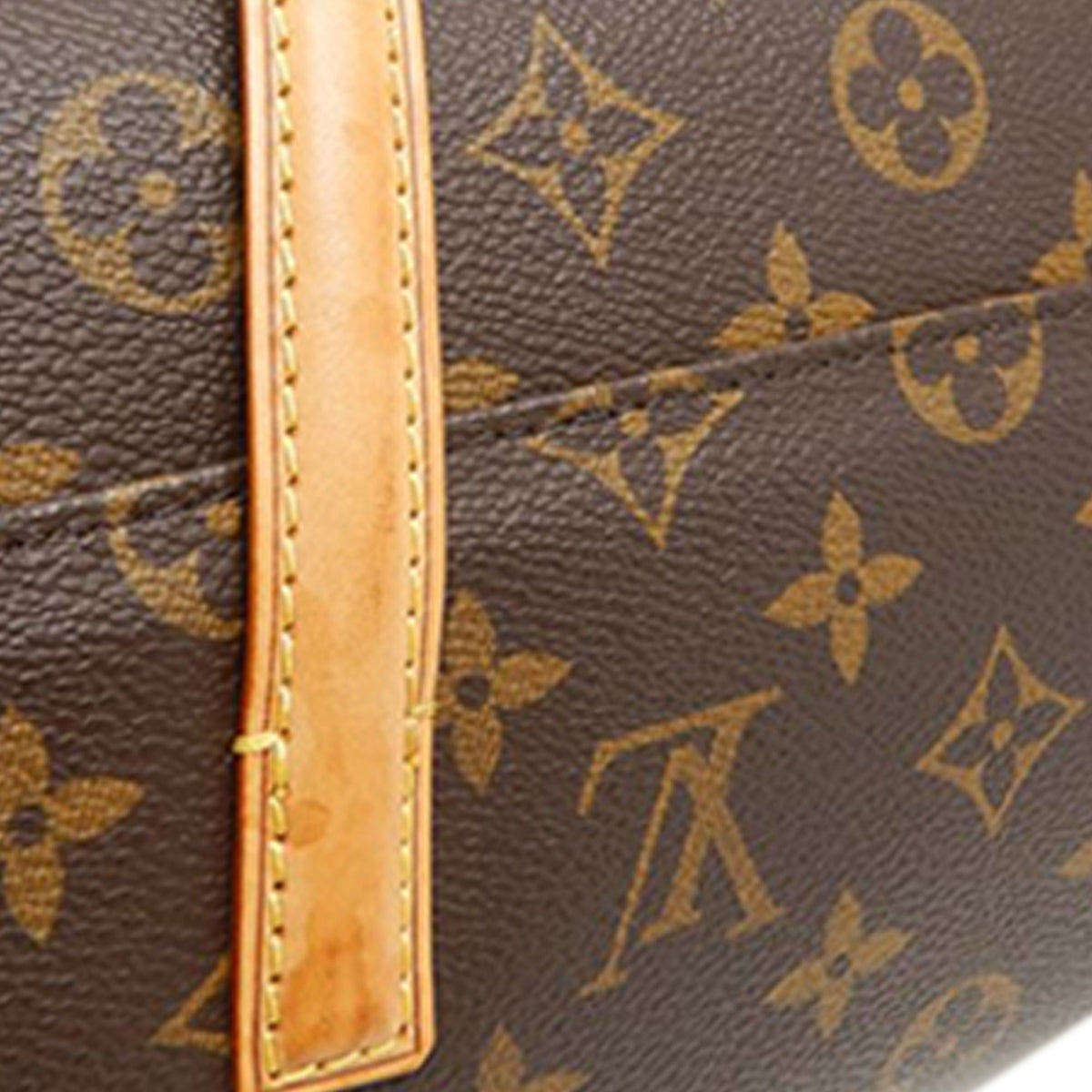 Louis Vuitton Monogram Sonatine — Brown