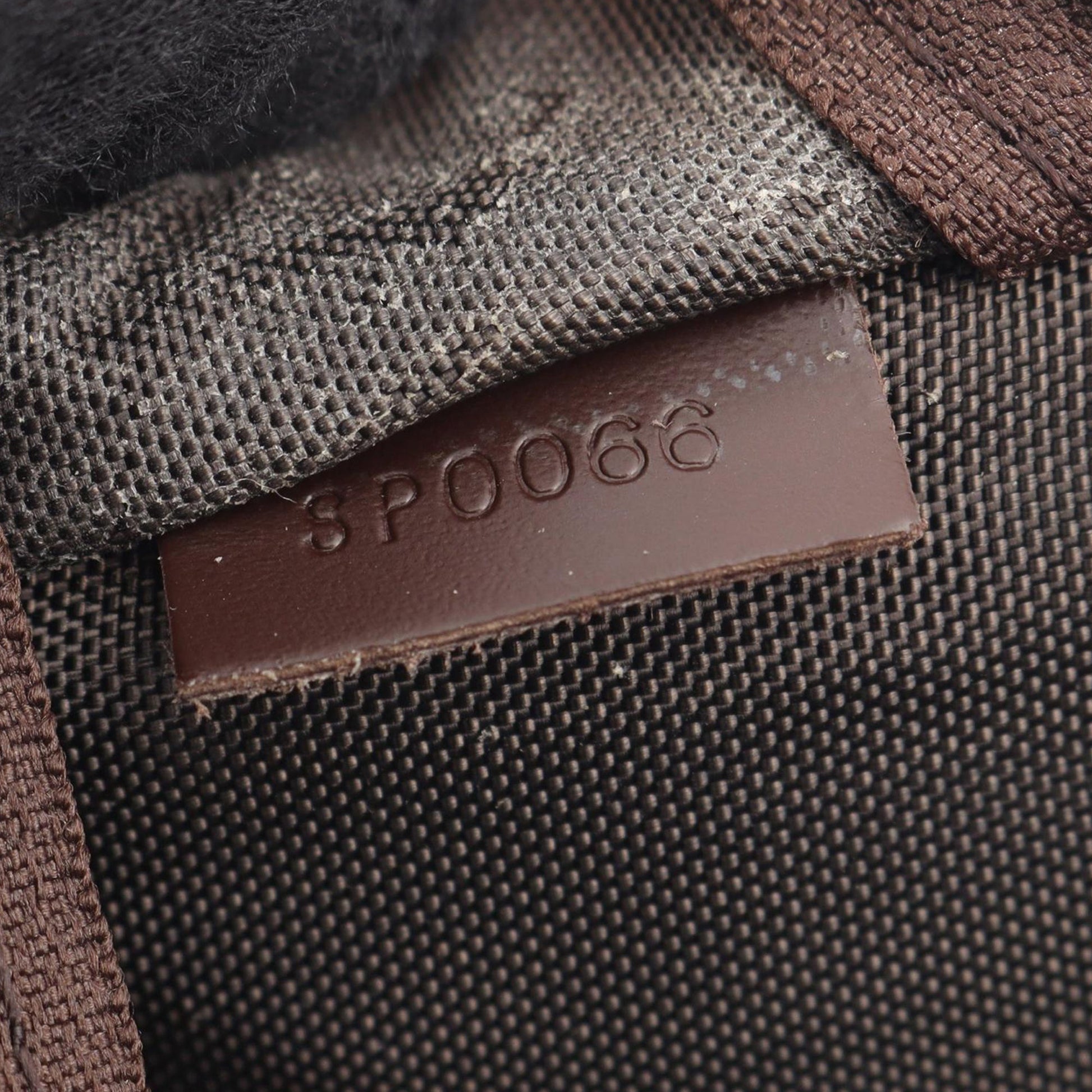 Louis Vuitton Damier Ebene Pegase 45