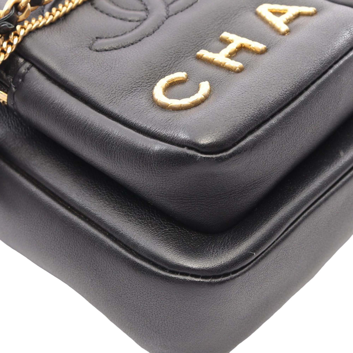 Chanel Small Quilted Calfskin Camera Case