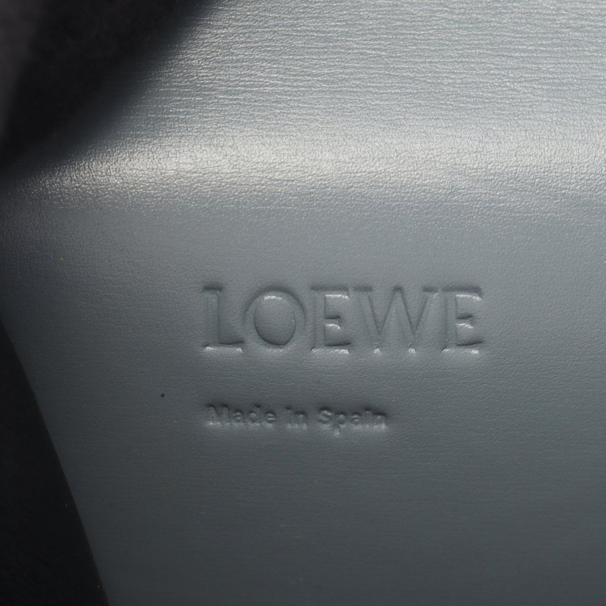 LOEWE Small Leather Barcelona Crossbody