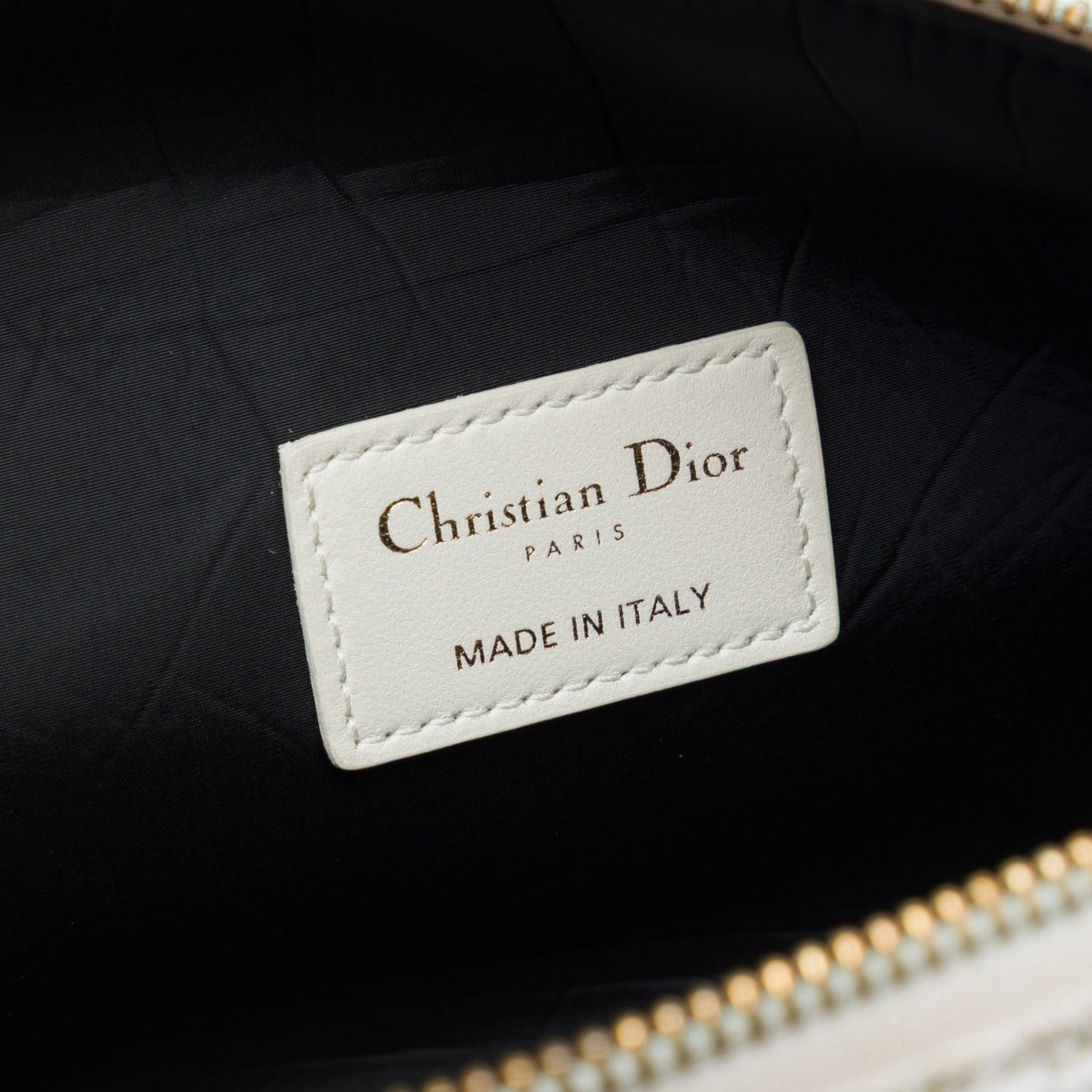 Dior Medium Technical Fabric Toile de Jouy DiorTravel Nomad Pouch — Gold