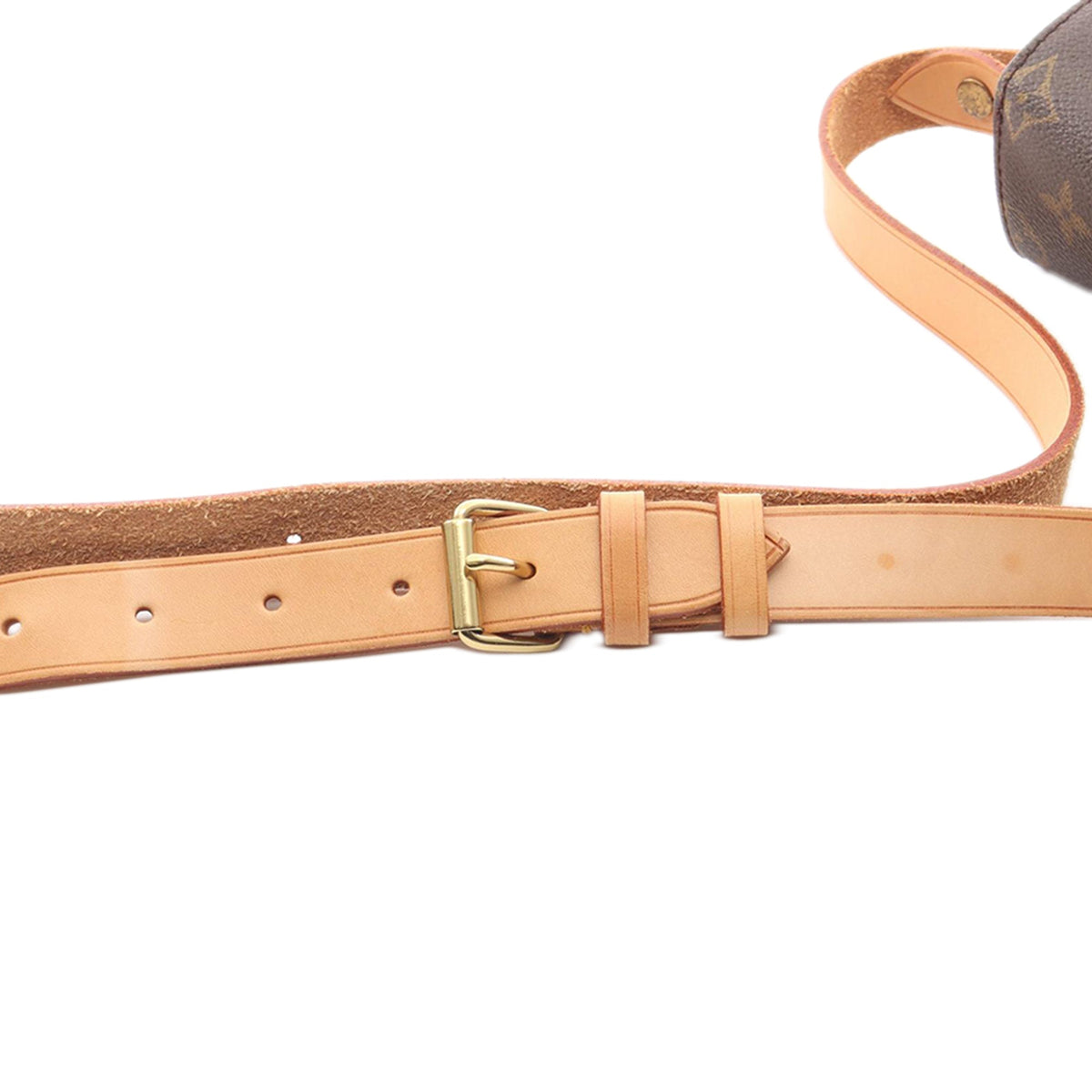 Louis Vuitton Monogram Cartouchiere GM