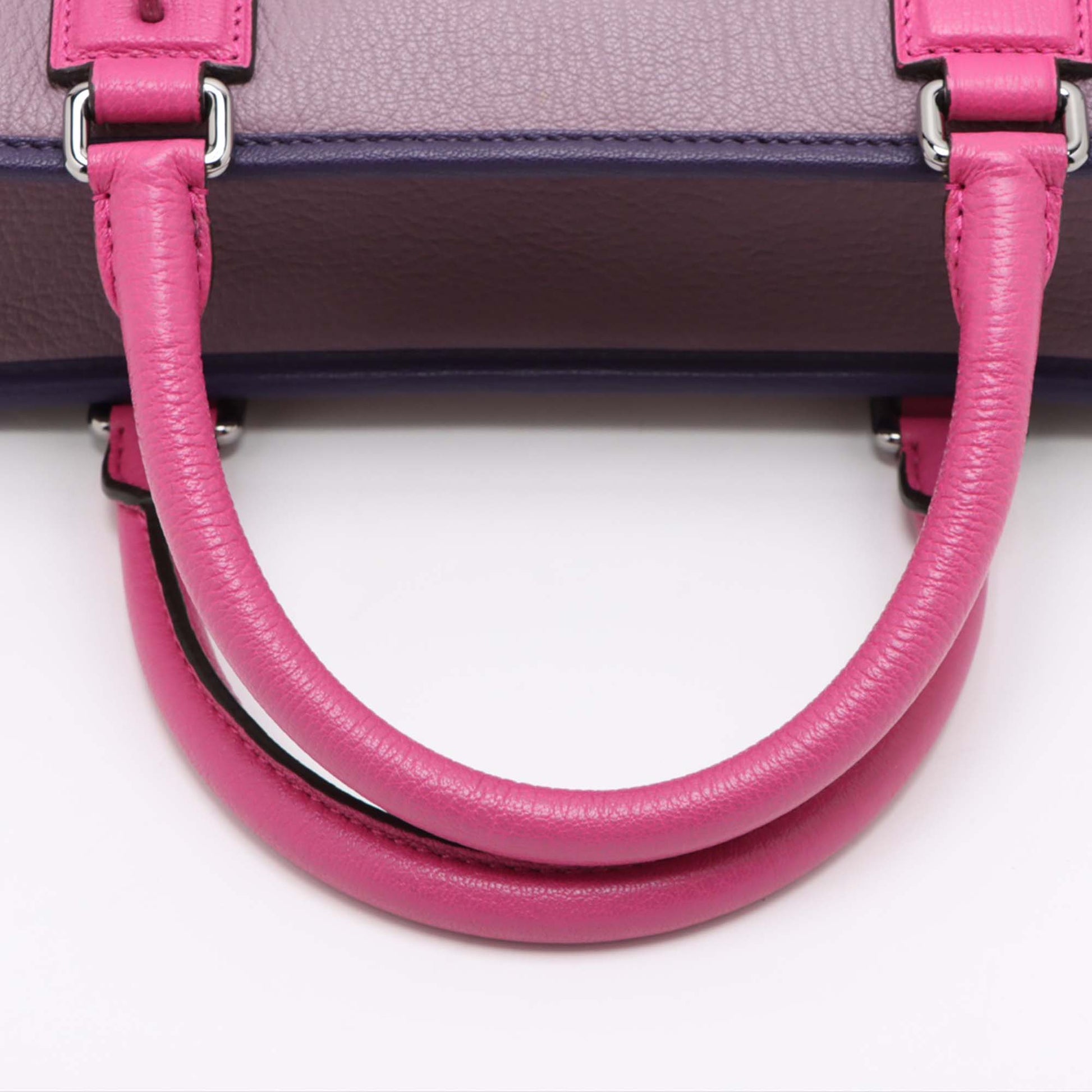 LOEWE Tricolor Goatskin Amazona 36