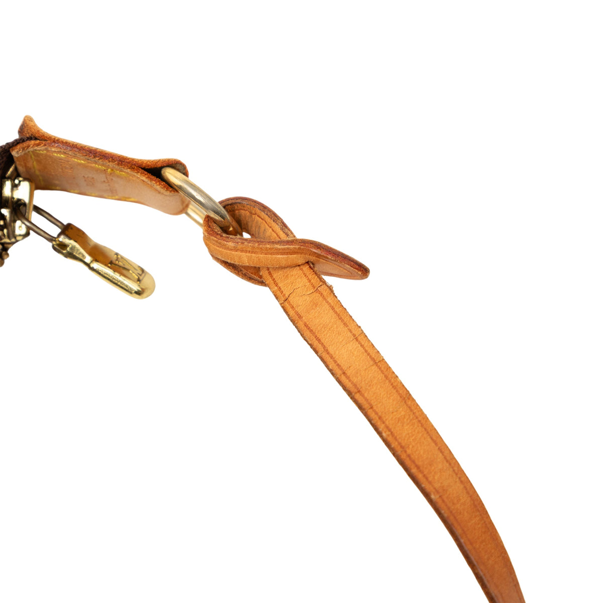 Louis Vuitton Monogram Pochette Accessoires