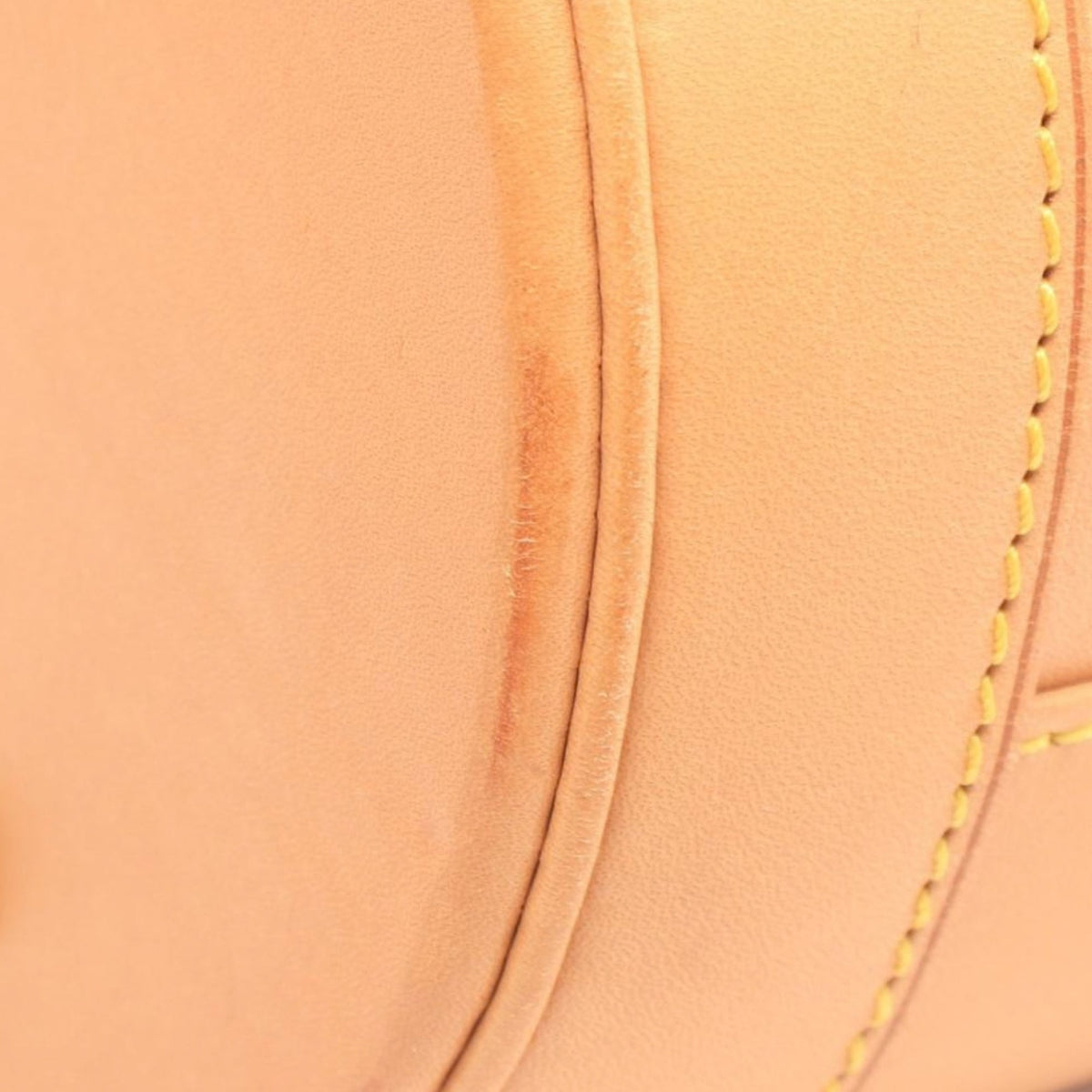 Louis Vuitton Nomade Petit Bucket