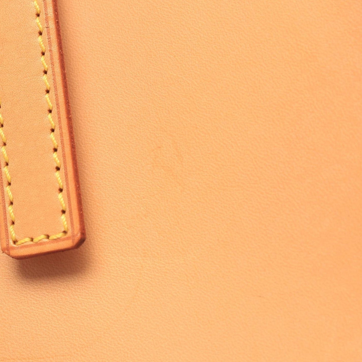 Louis Vuitton Nomade Petit Bucket