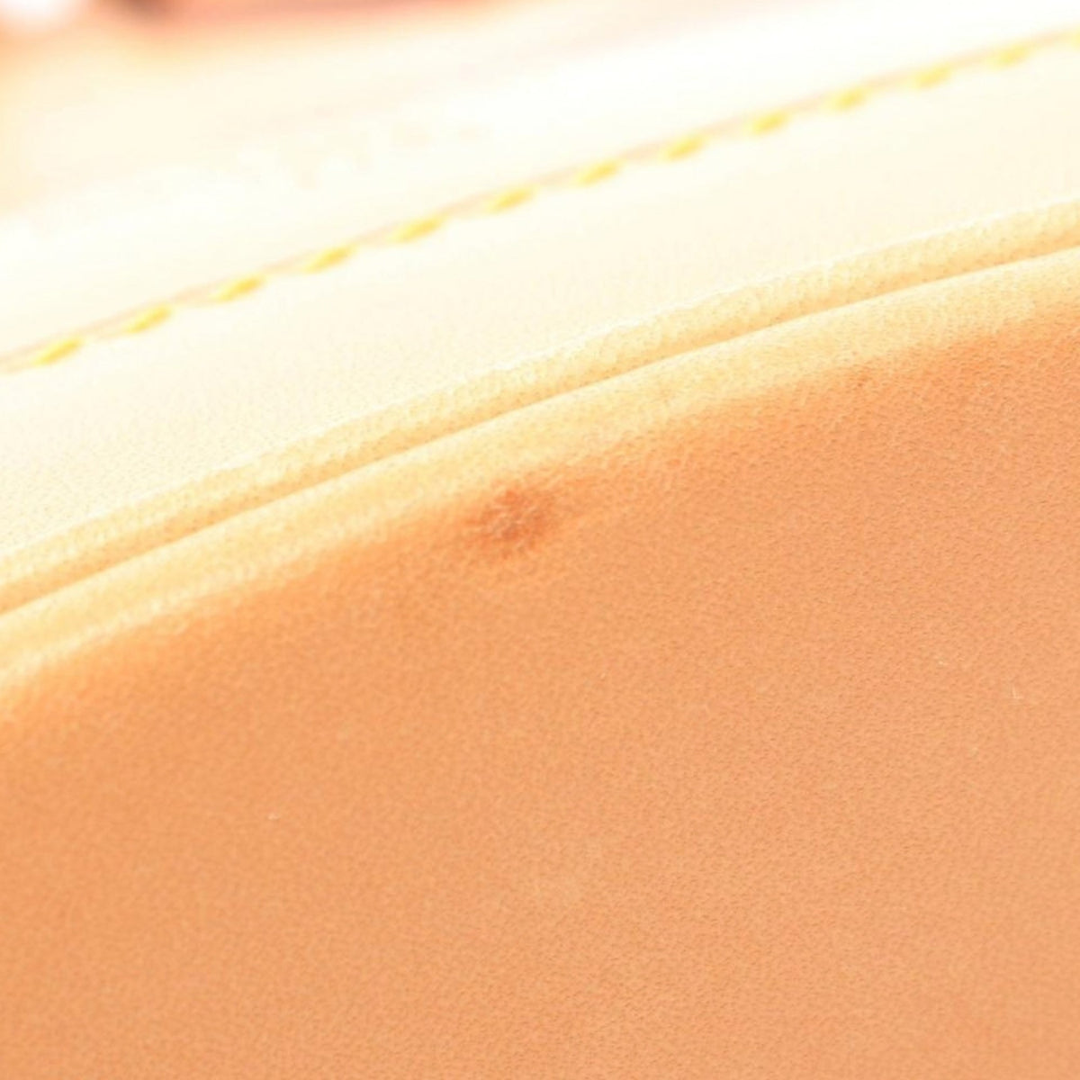 Louis Vuitton Nomade Petit Bucket
