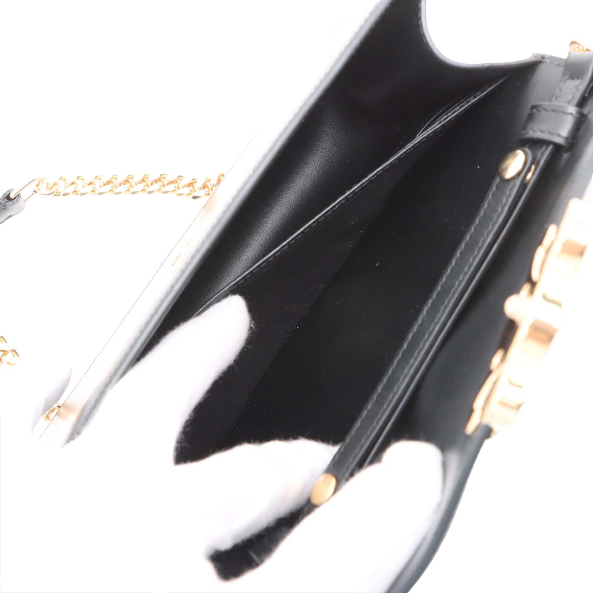 Celine Shiny Calfskin Triomphe Margo Wallet on Chain