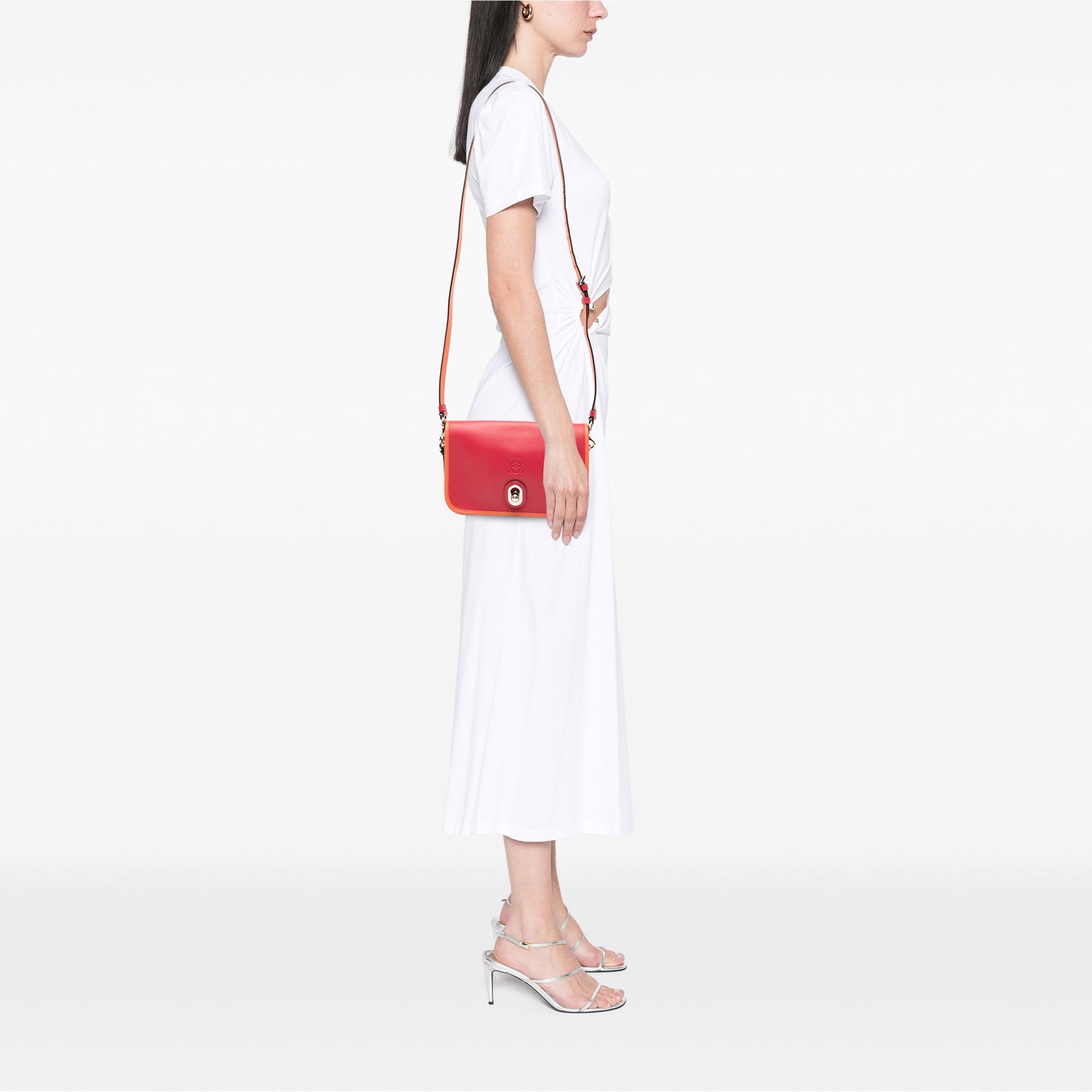 LOEWE Bicolor Leather Anagram Ines Flap Crossbody