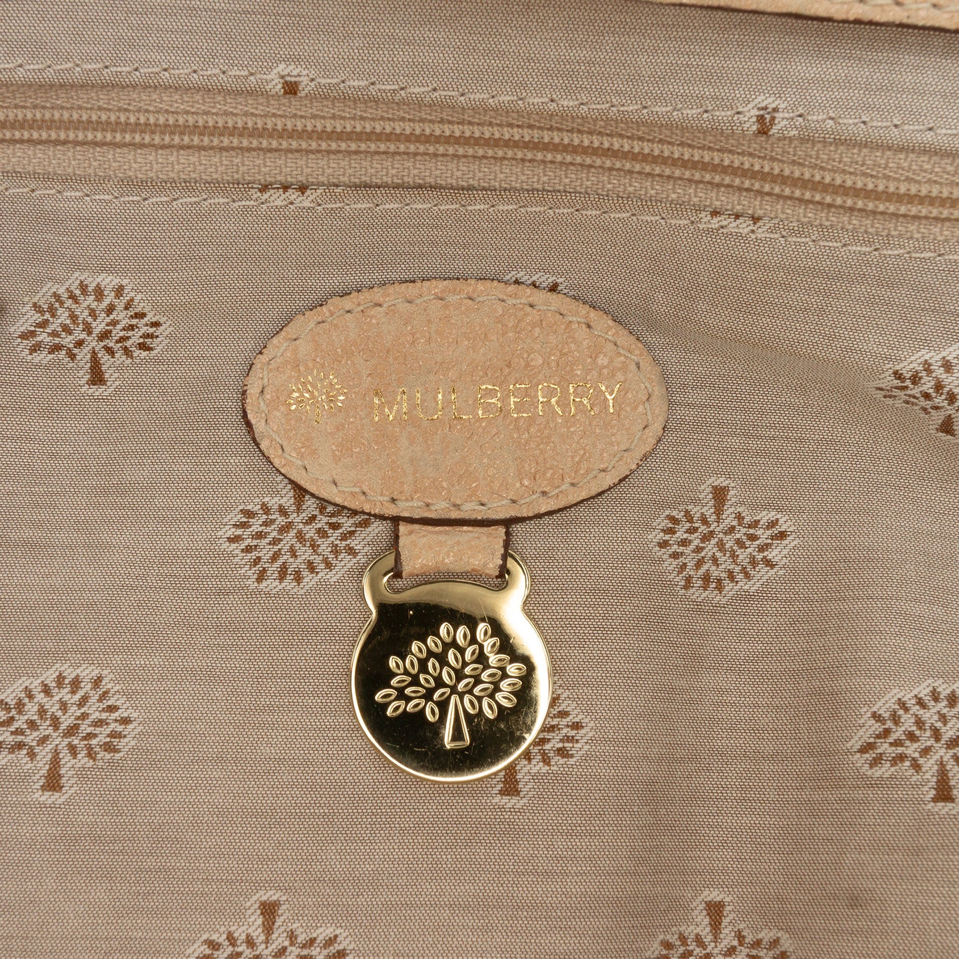 Mulberry Textured Calfskin Alexa Satchel