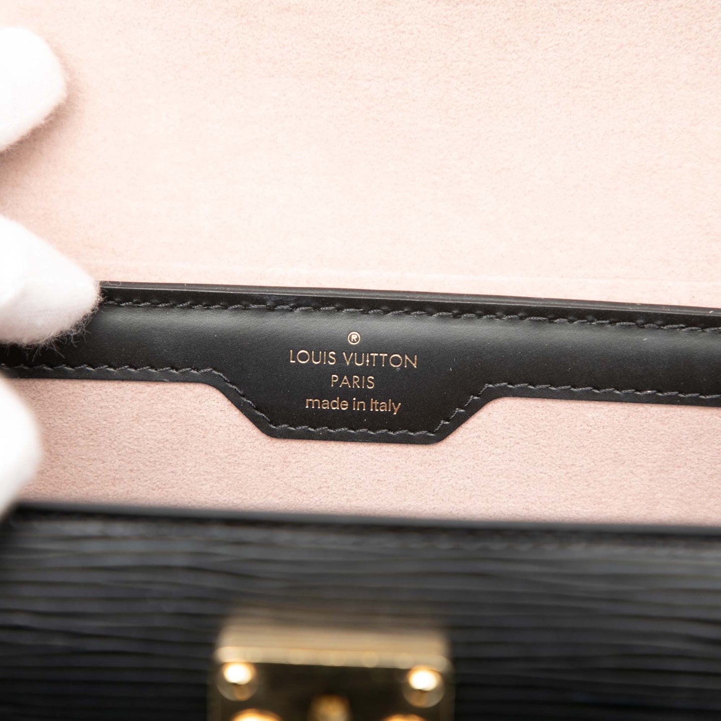 Louis Vuitton Epi Papillon Trunk