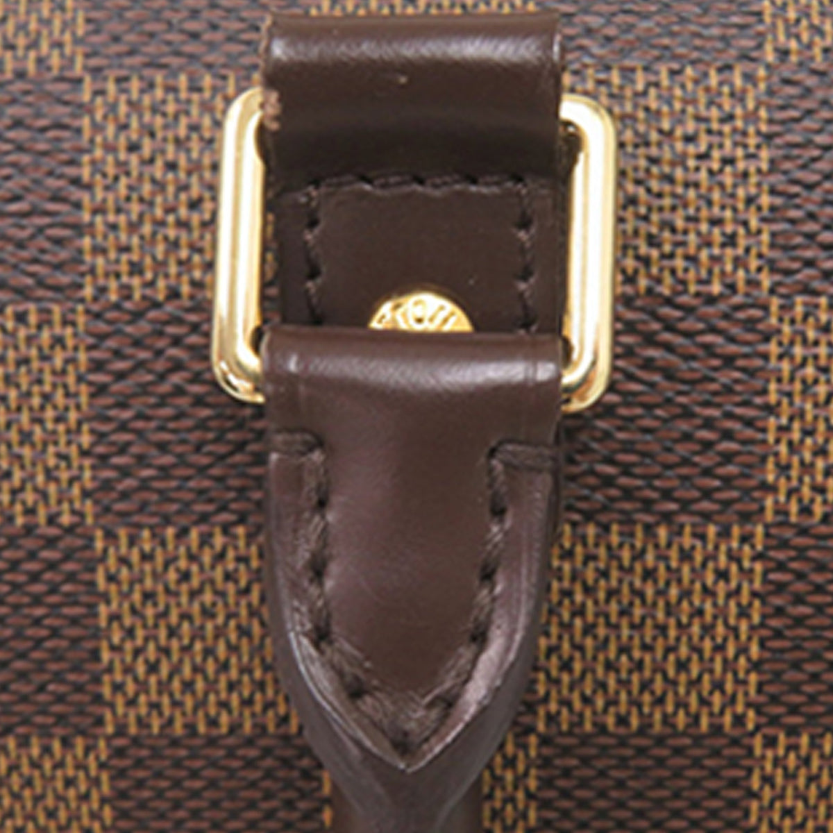 Louis Vuitton Damier Ebene Ribera MM