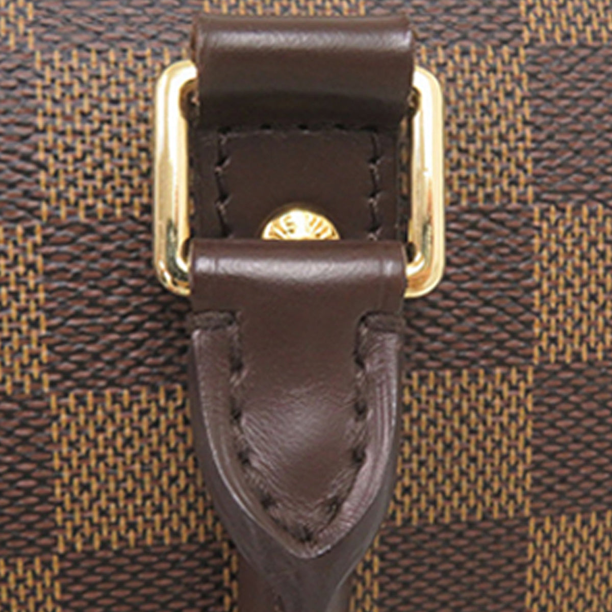 Louis Vuitton Damier Ebene Ribera MM
